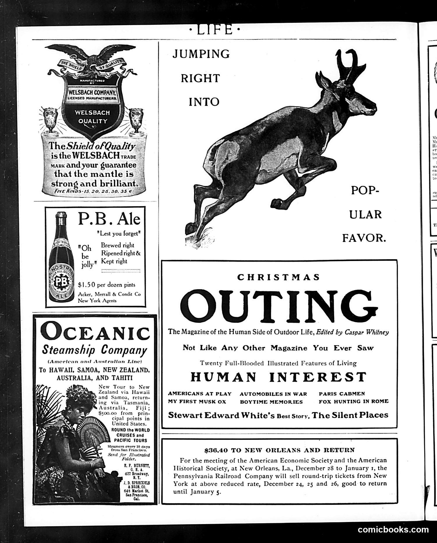 Life — December 17, 1903 — page 20 of 22