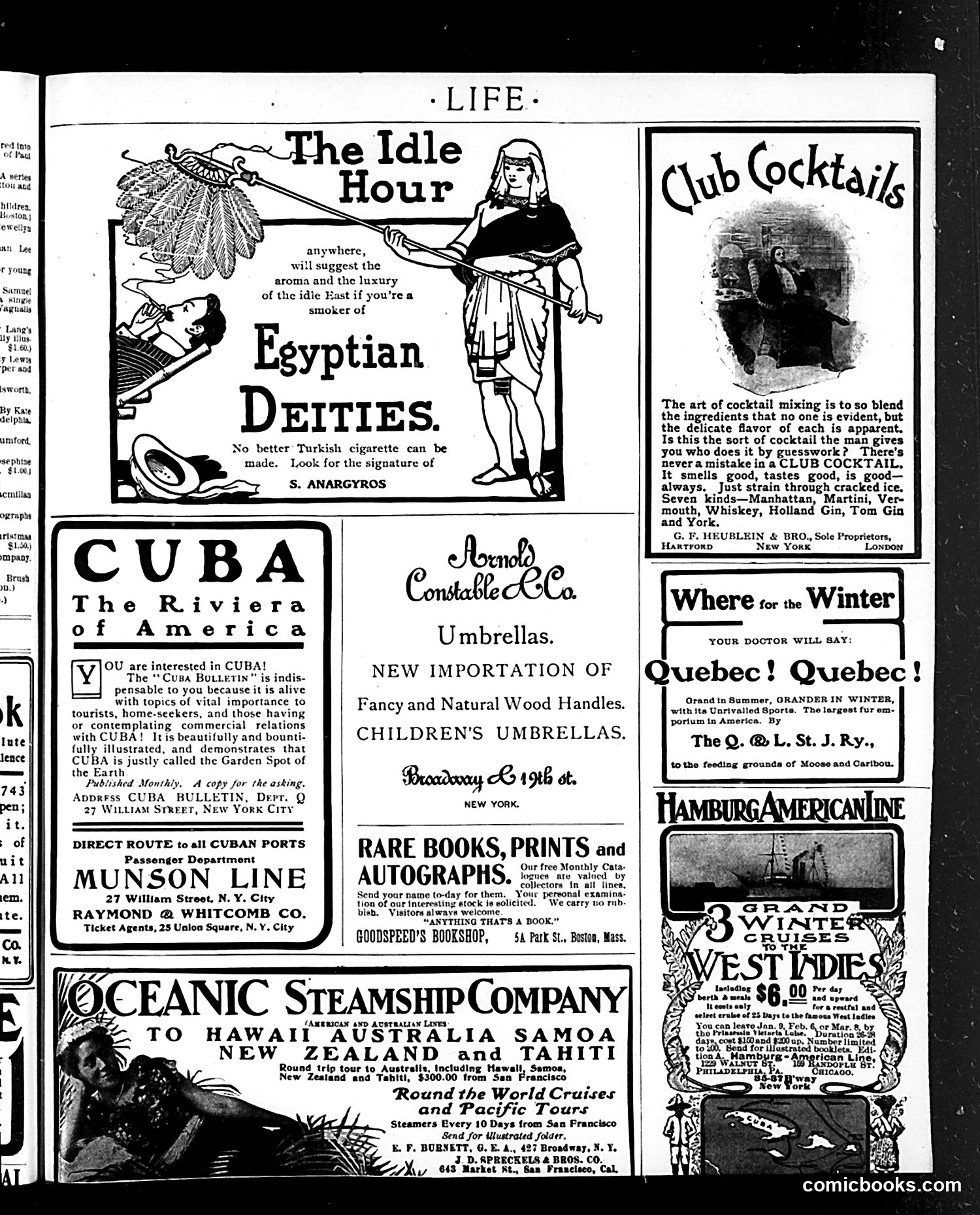 Life — December 31, 1903 — page 17 of 21