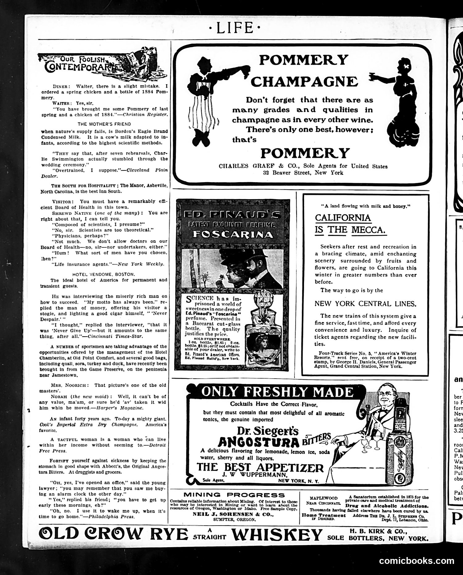 Life — December 31, 1903 — page 18 of 21
