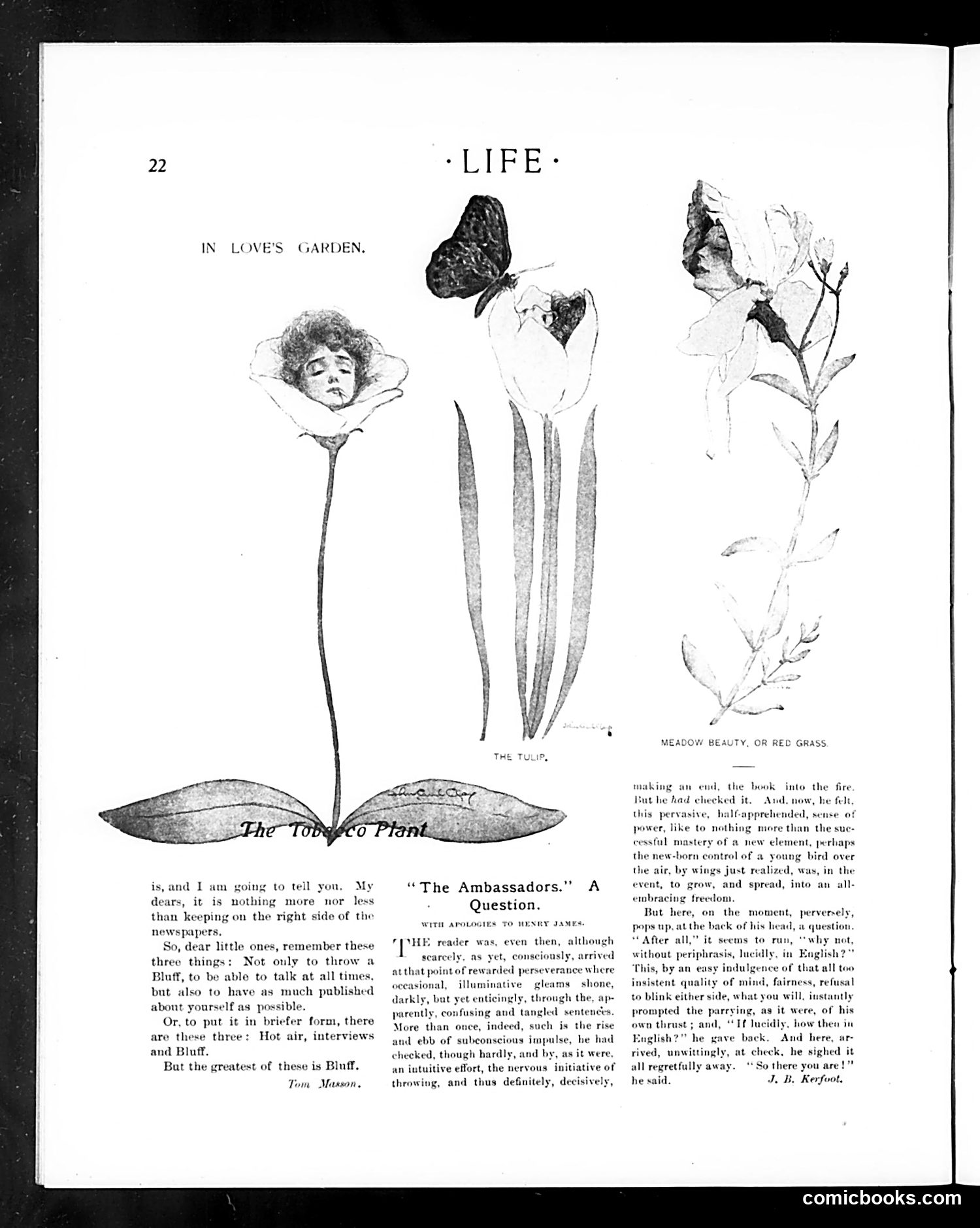 Life — January 7, 1904 — page 22 of 36