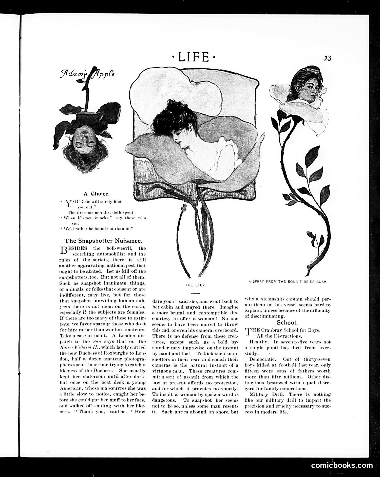 Life — January 7, 1904 — page 23 of 36