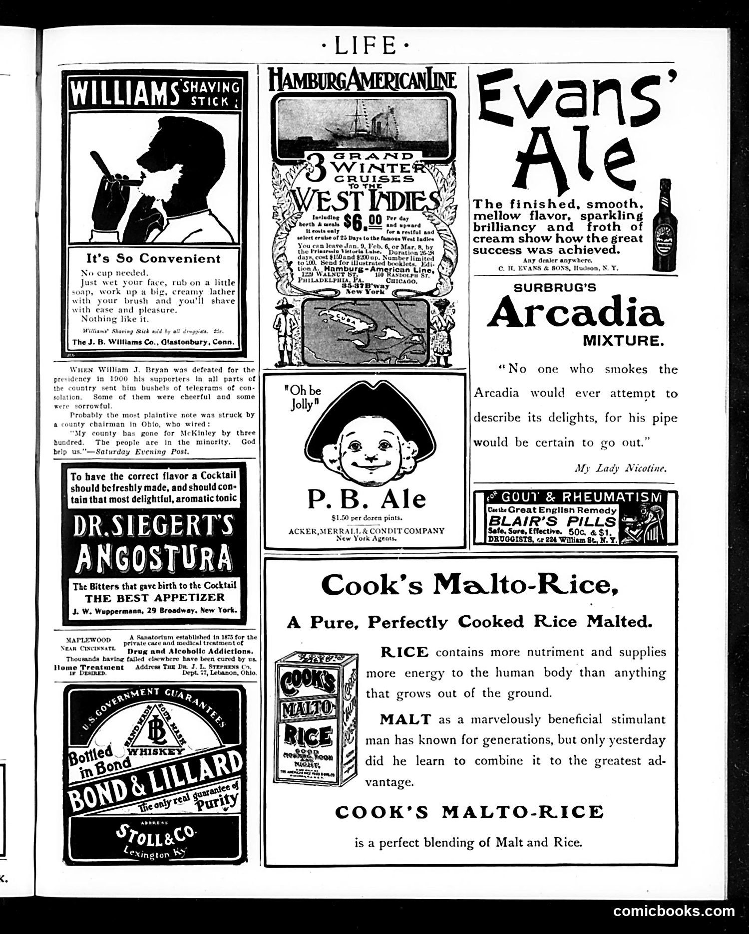Life — January 14, 1904 — page 19 of 20