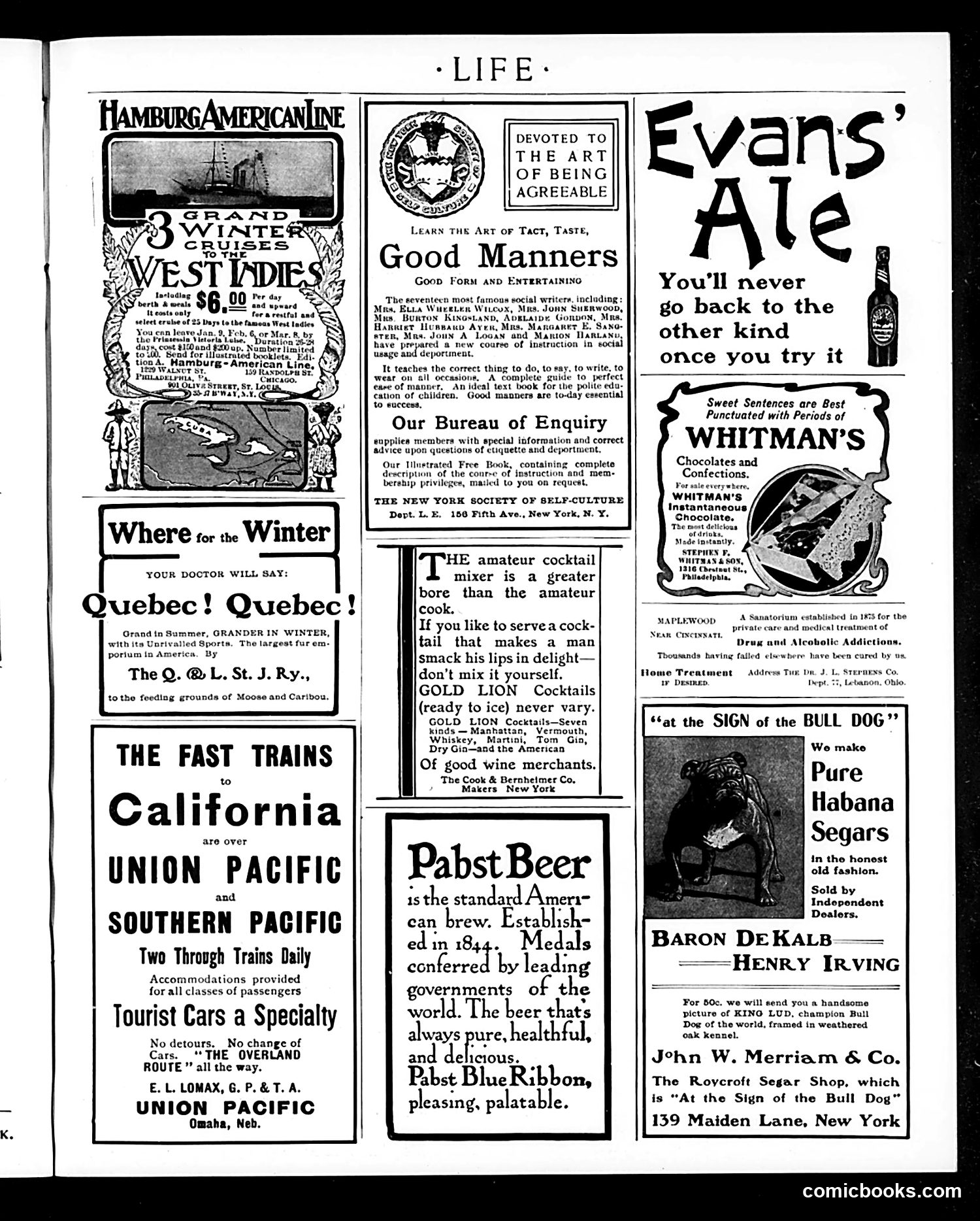 Life — January 21, 1904 — page 19 of 20