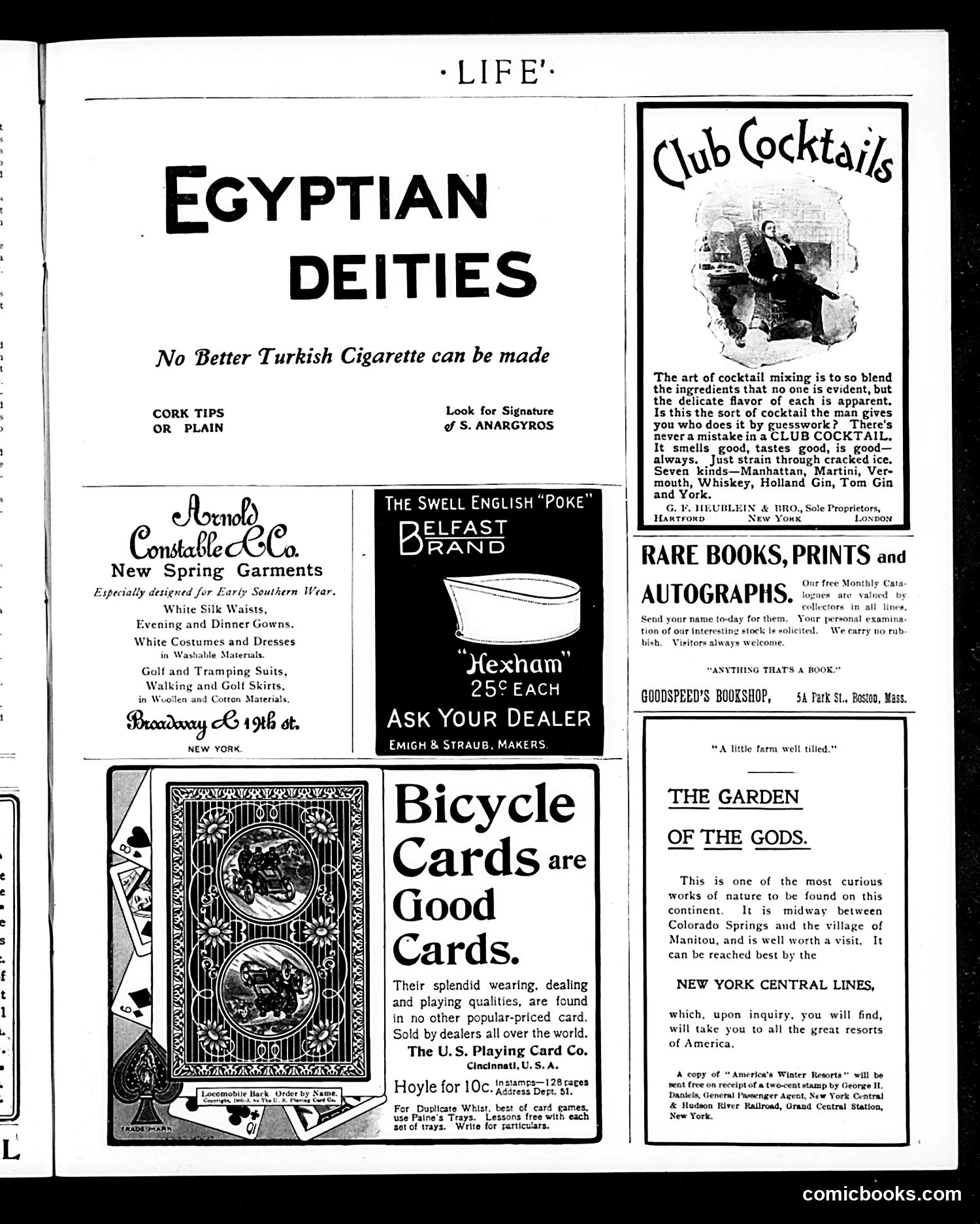 Life — January 28, 1904 — page 17 of 22