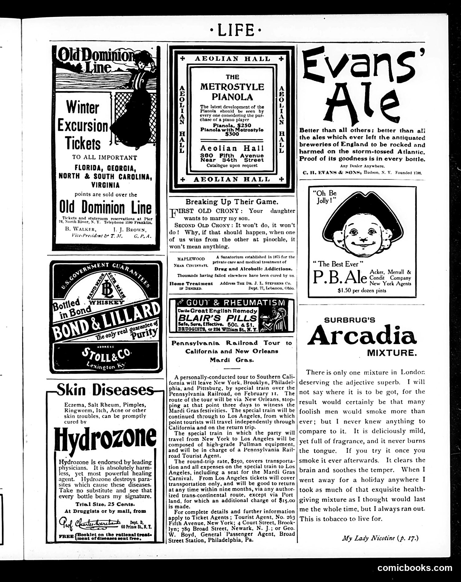 Life — January 28, 1904 — page 19 of 22