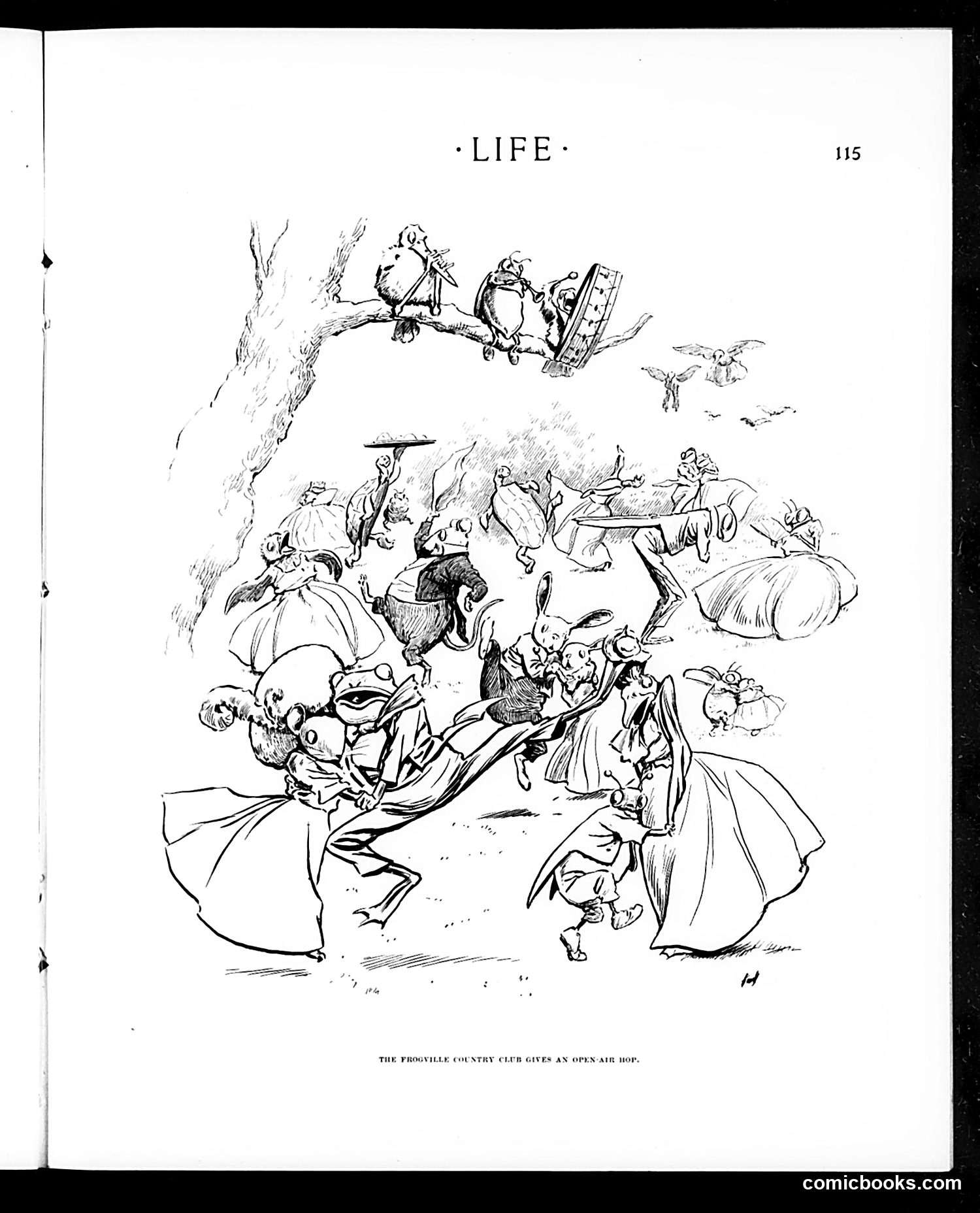 Life — February 4, 1904 — page 17 of 36
