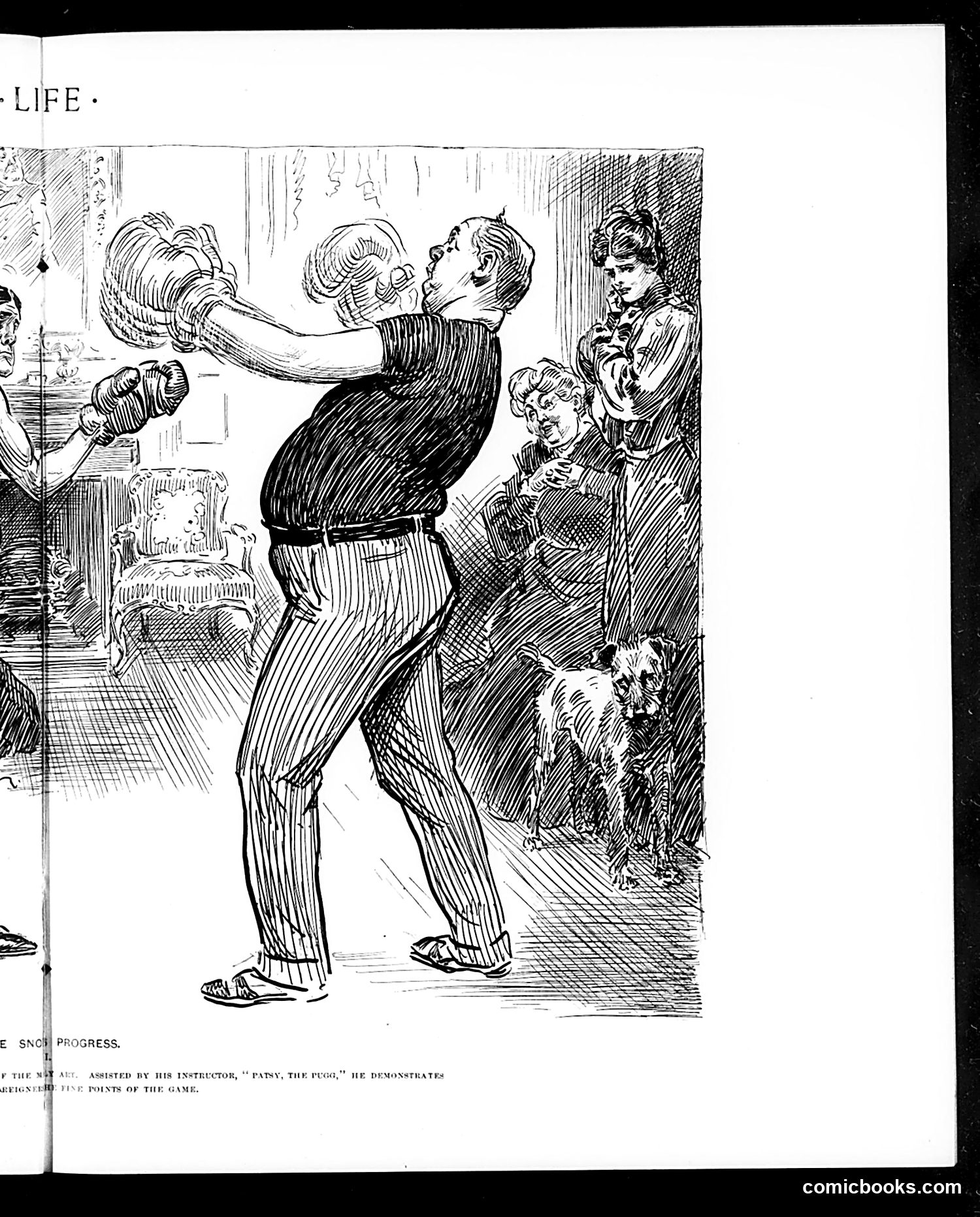Life — February 4, 1904 — page 19 of 36