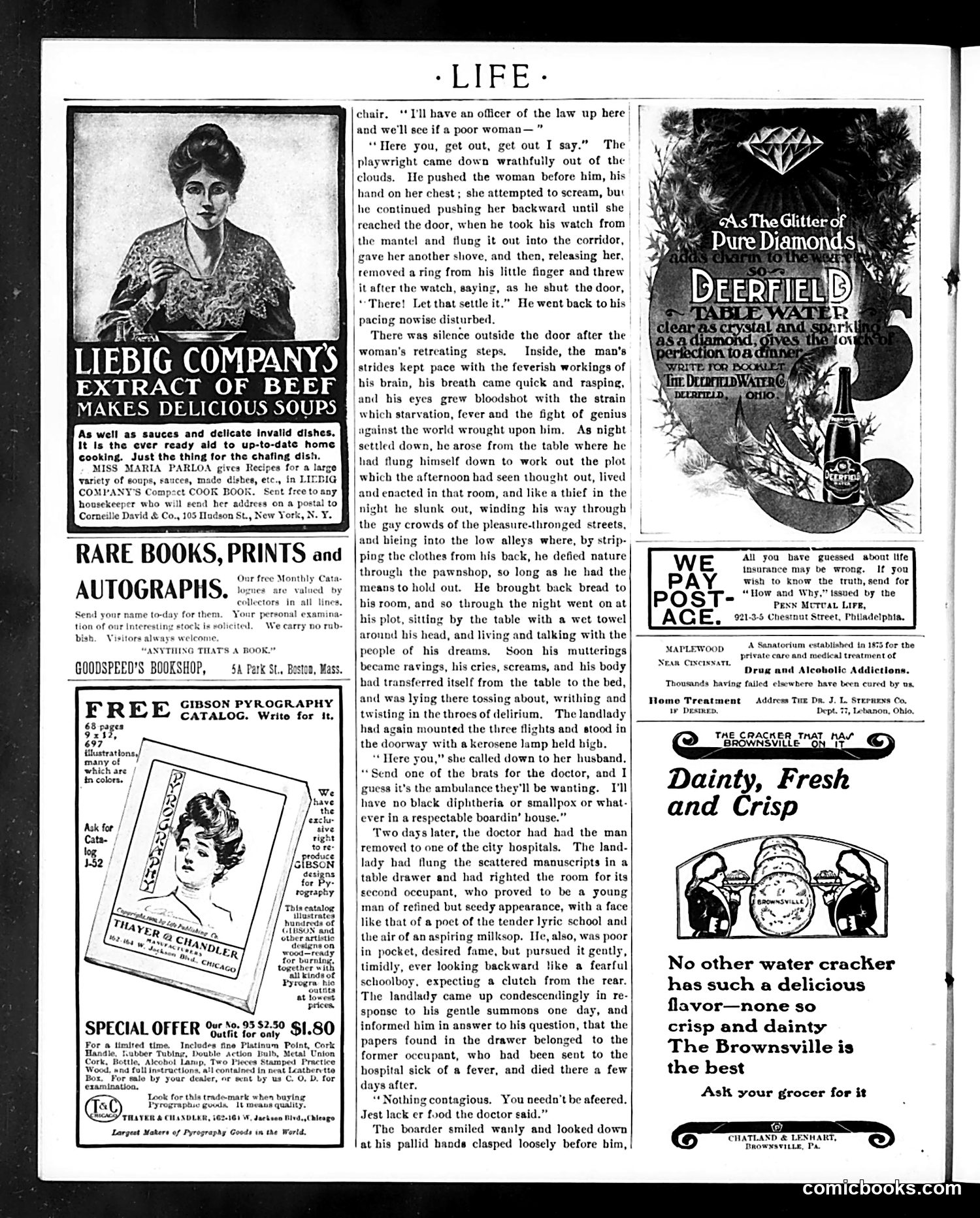 Life — February 4, 1904 — page 30 of 36