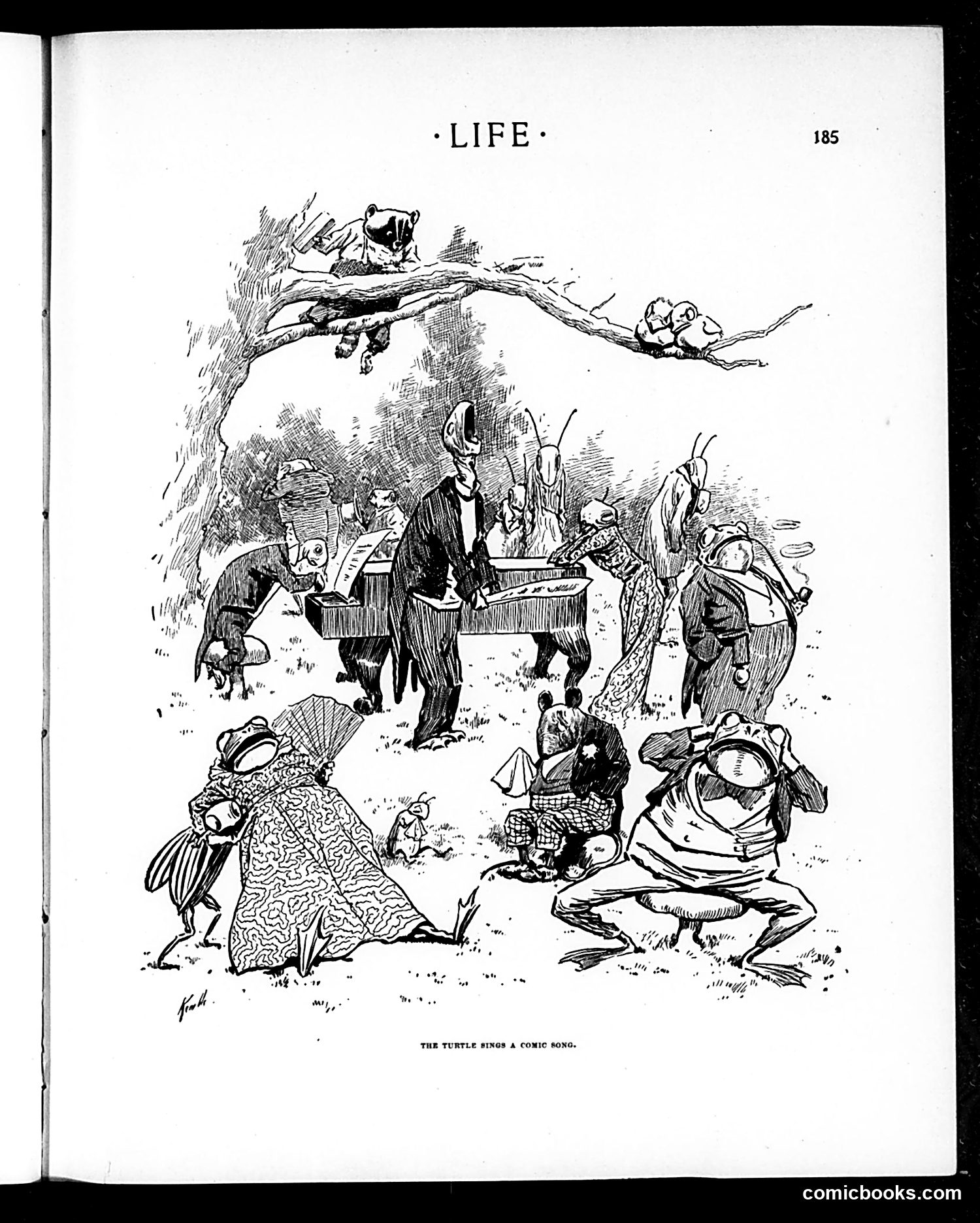 Life — February 25, 1904 — page 9 of 26