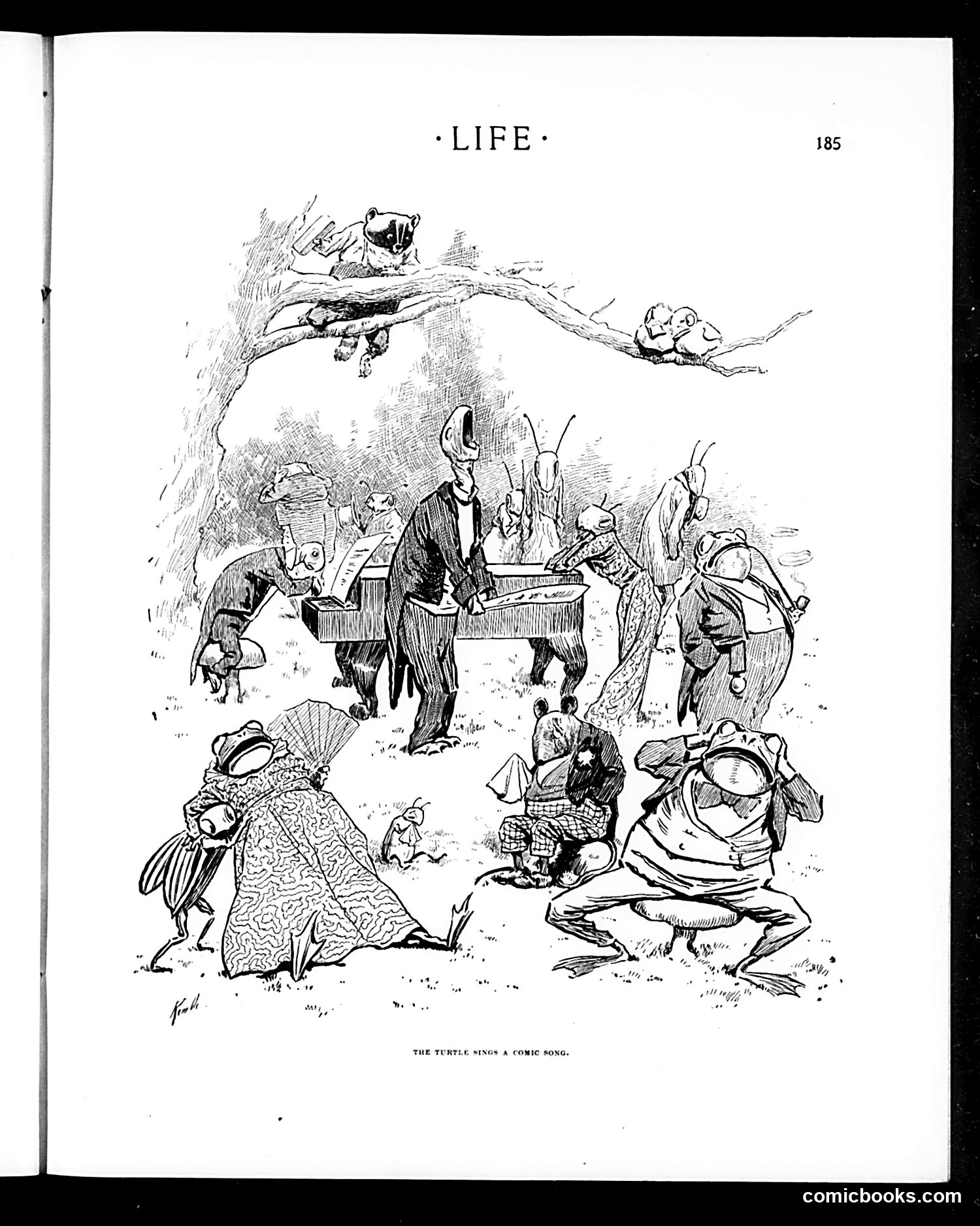 Life — February 25, 1904 — page 15 of 26