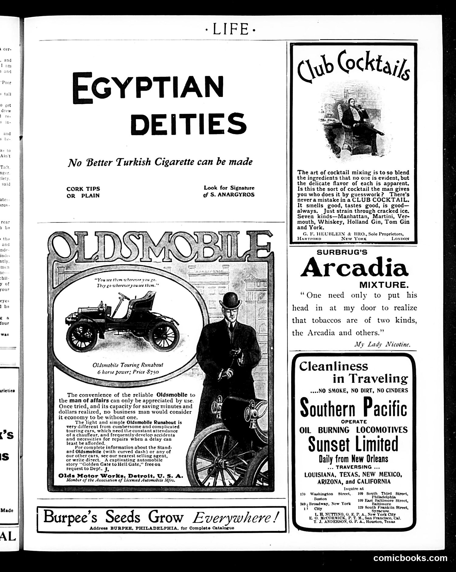 Life — February 25, 1904 — page 23 of 26