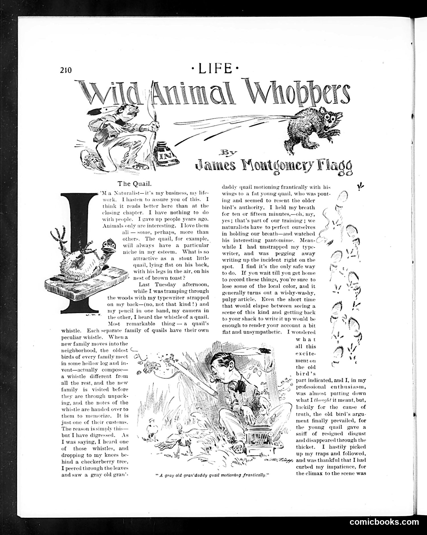 Life — March 3, 1904 — page 14 of 38