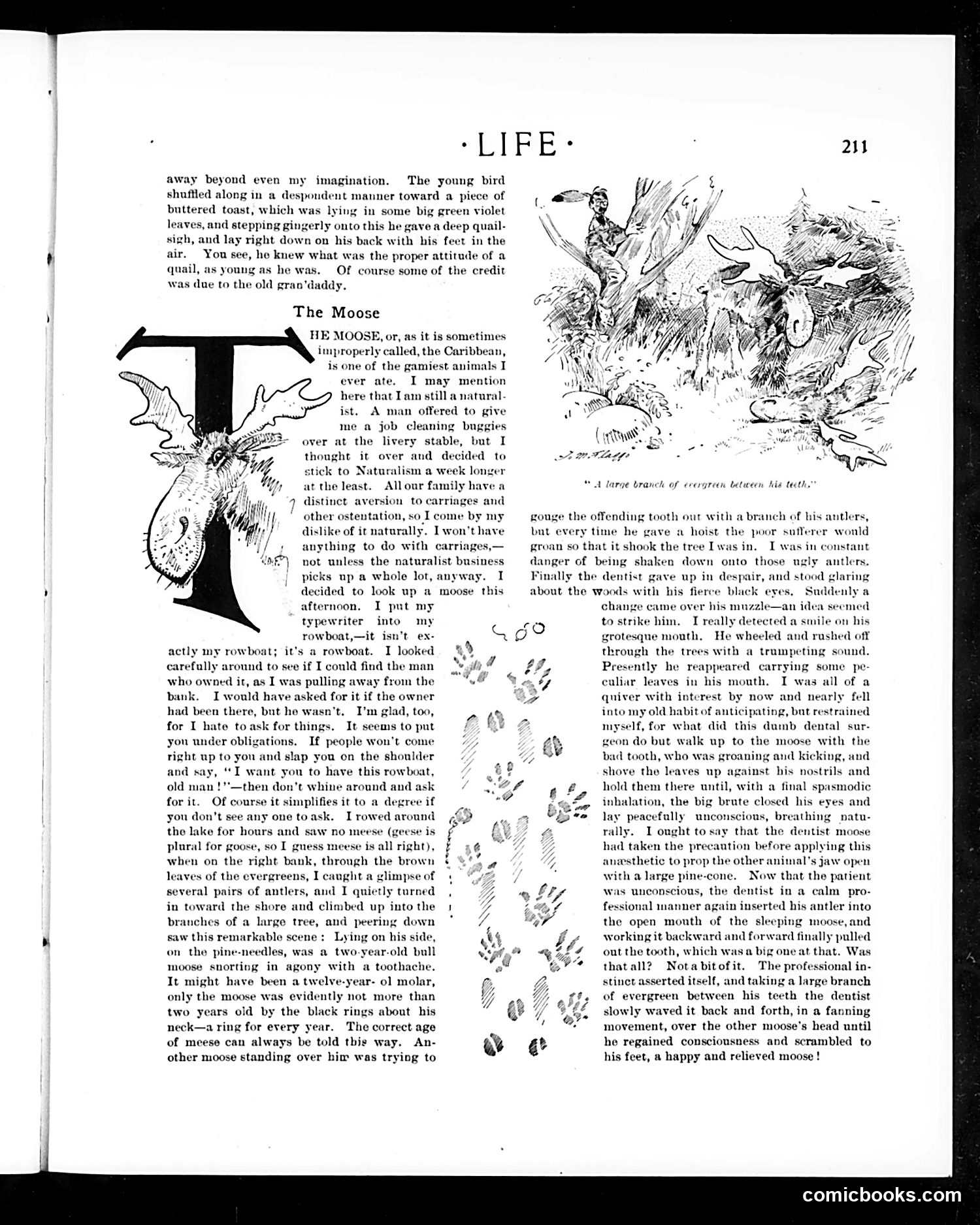 Life — March 3, 1904 — page 15 of 38