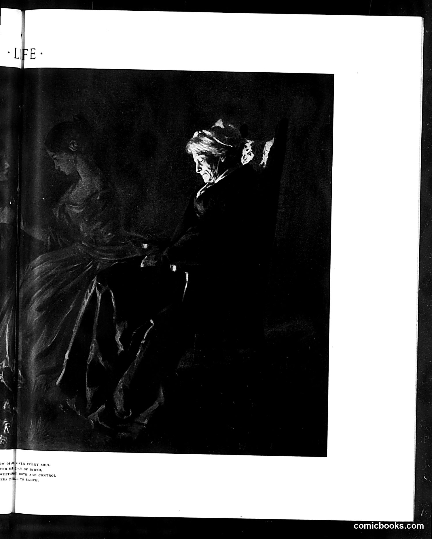 Life — March 3, 1904 — page 19 of 38