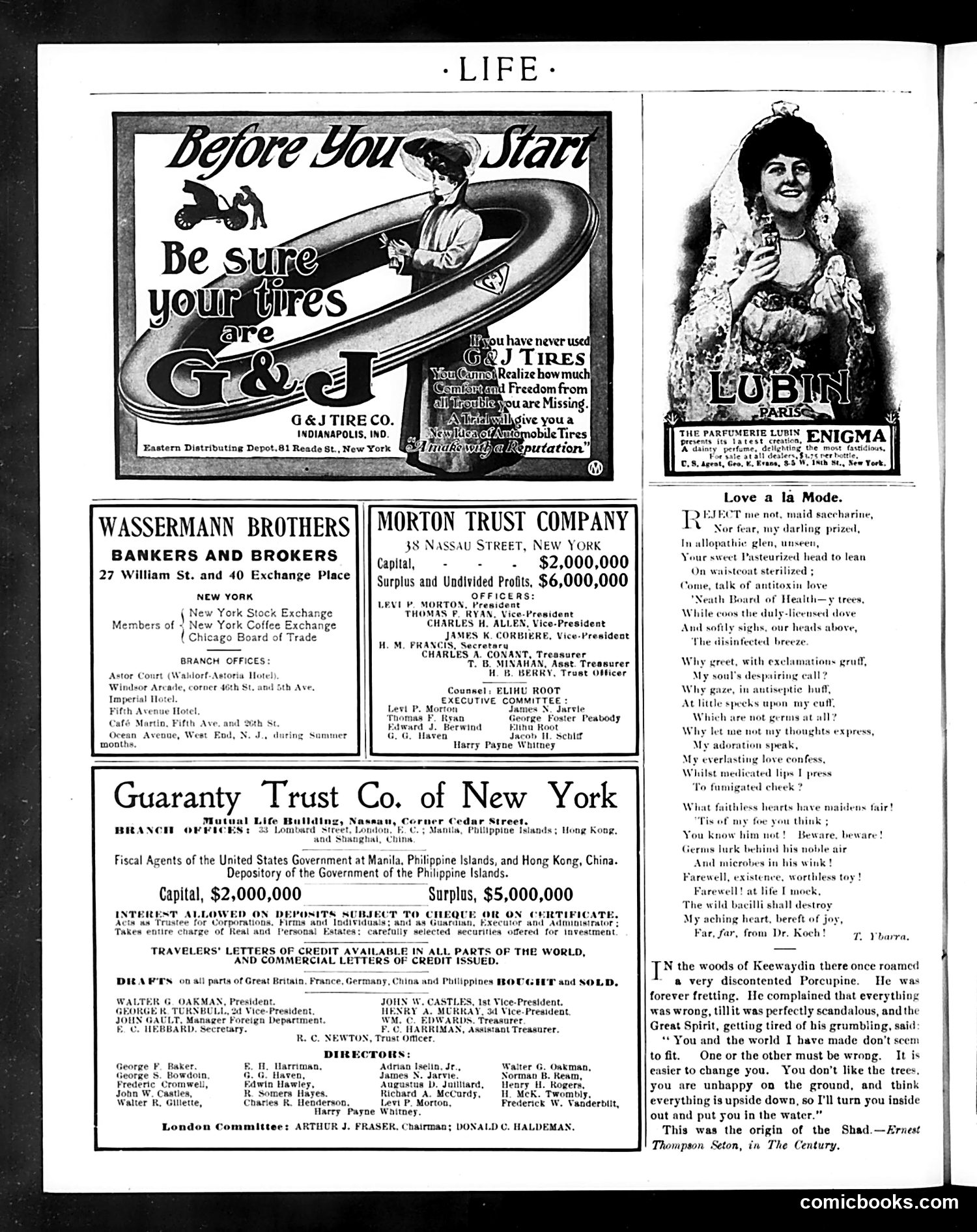 Life — March 17, 1904 — page 22 of 24