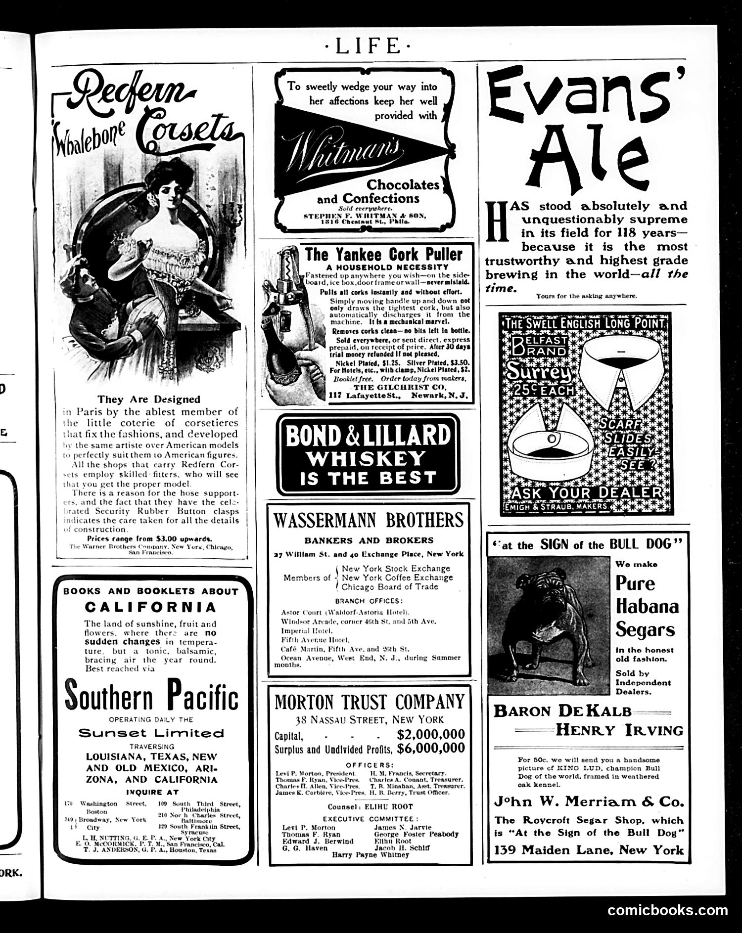 Life — April 28, 1904 — page 19 of 20