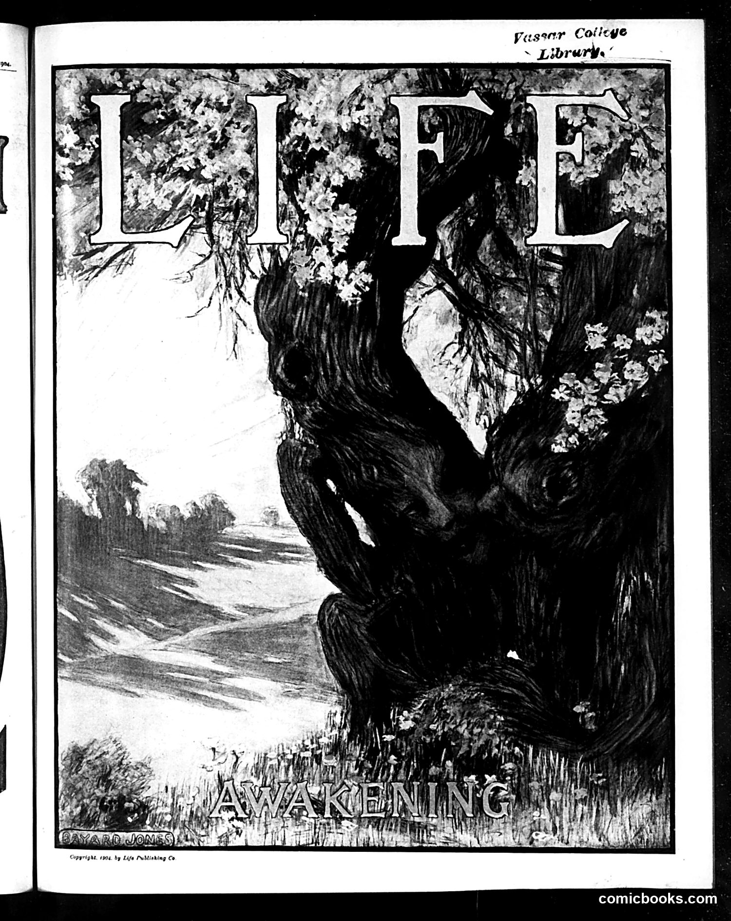 Life — May 26, 1904