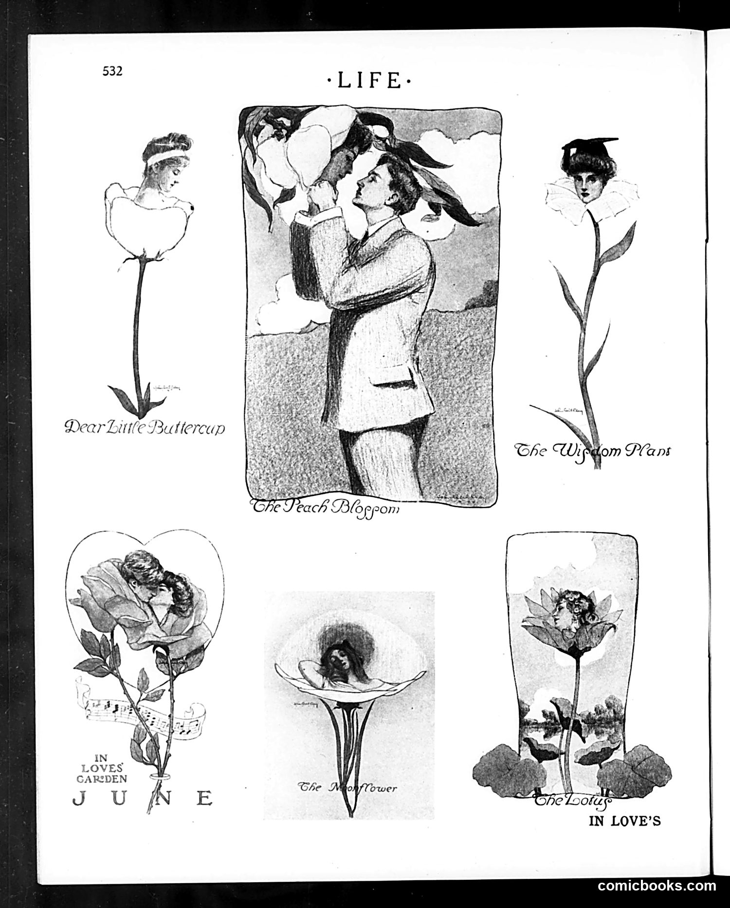 Life — June 2, 1904 — page 20 of 50