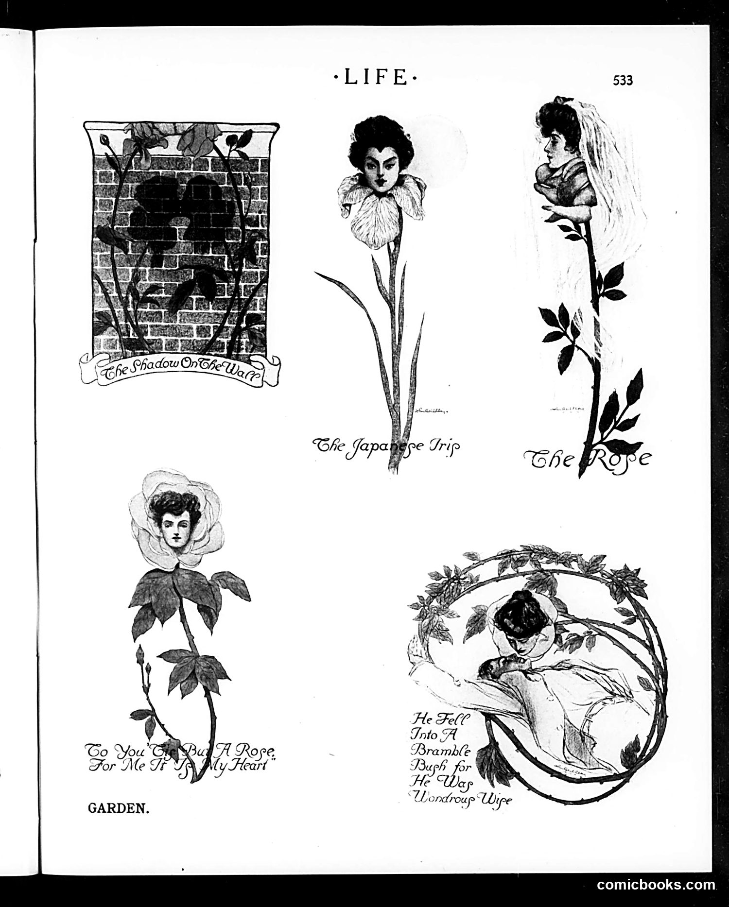 Life — June 2, 1904 — page 21 of 50