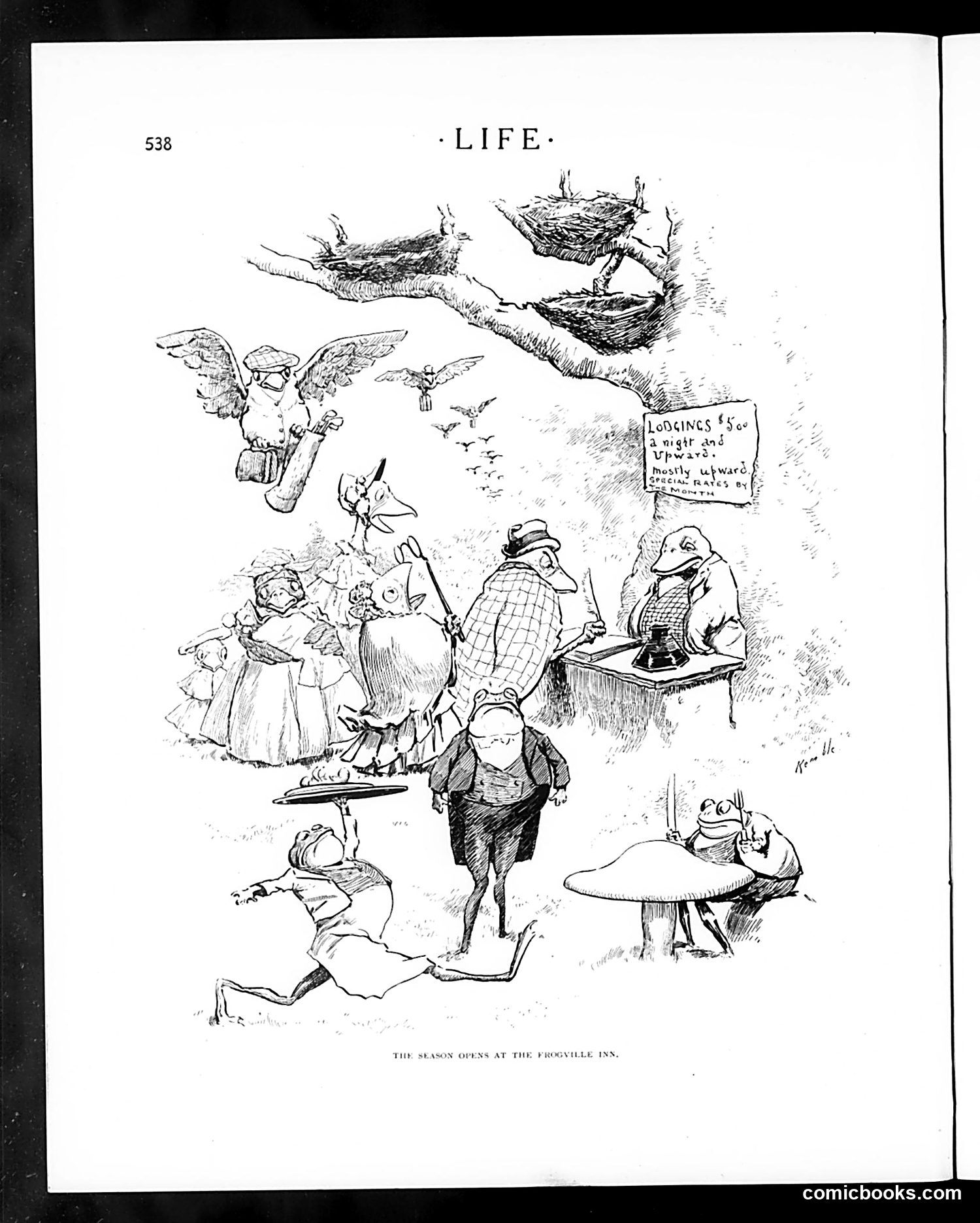Life — June 2, 1904 — page 26 of 50