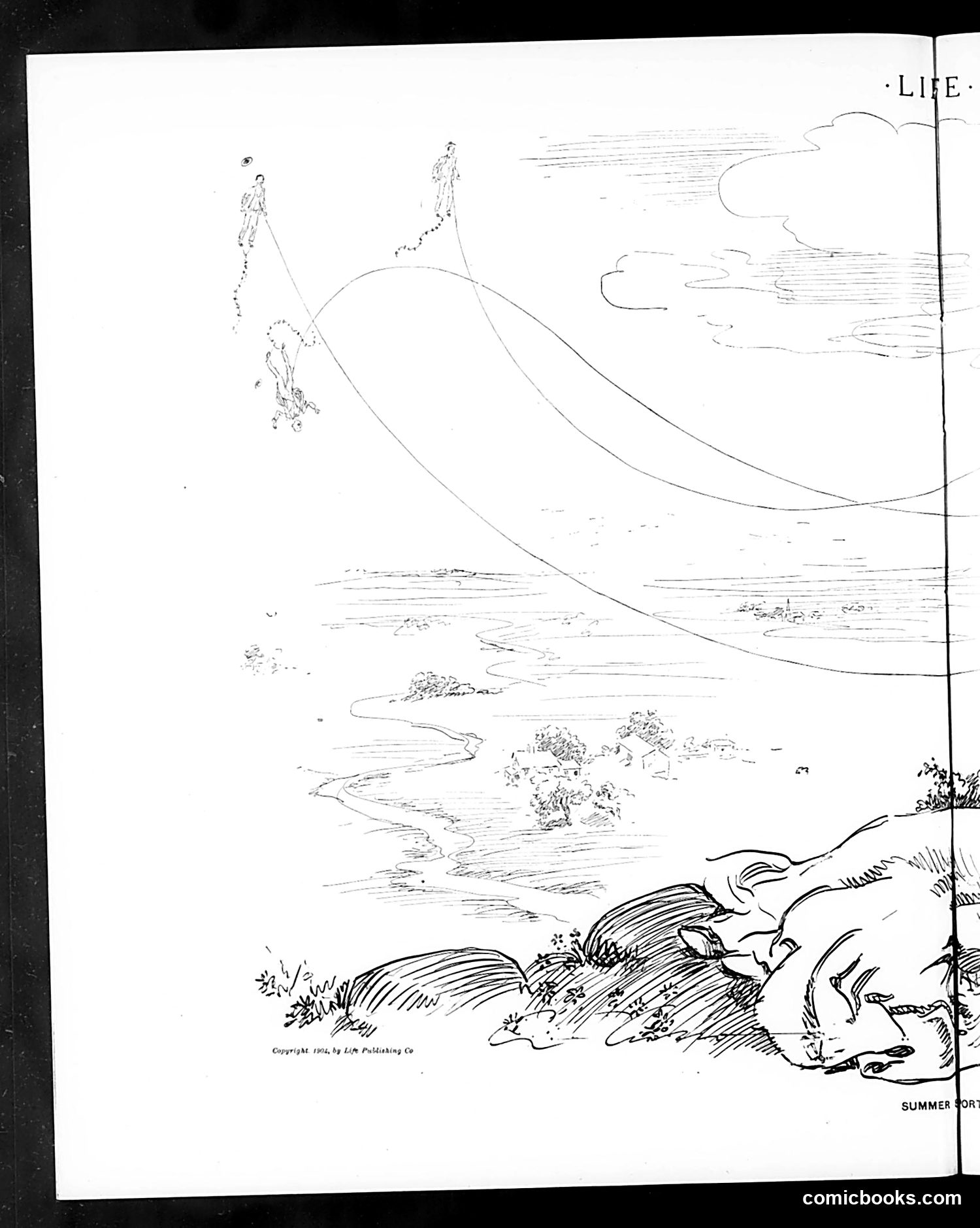 Life — June 2, 1904 — page 28 of 50