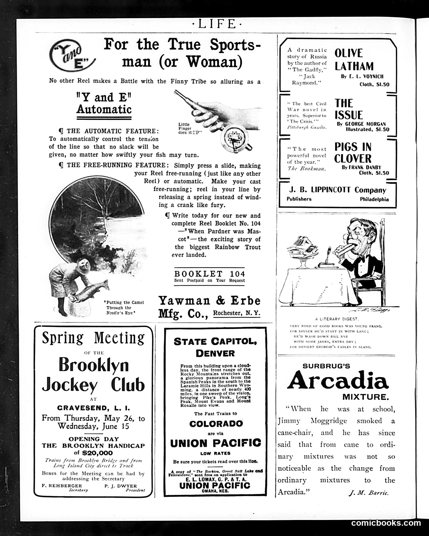 Life — June 2, 1904 — page 42 of 50