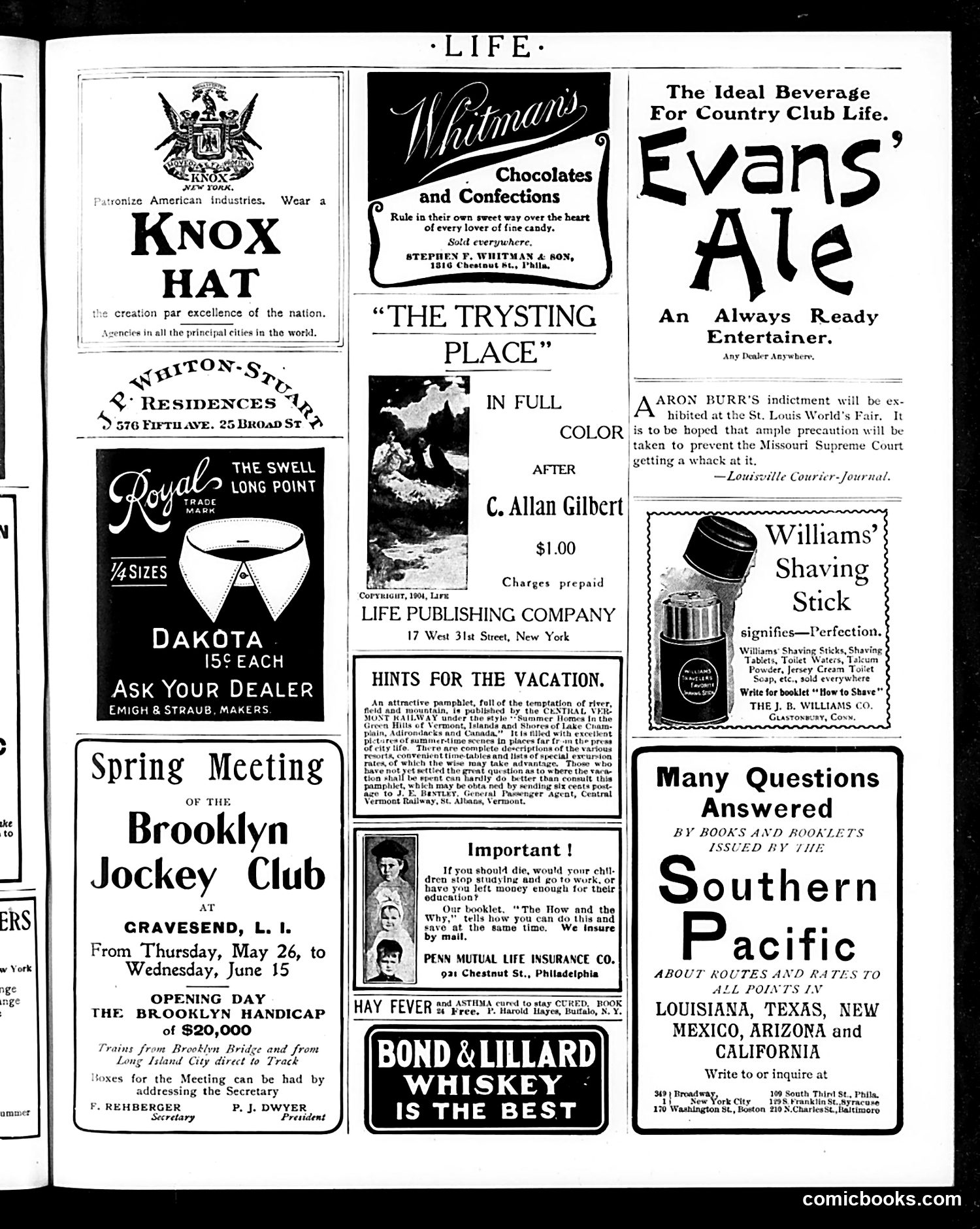 Life — June 9, 1904 — page 19 of 20