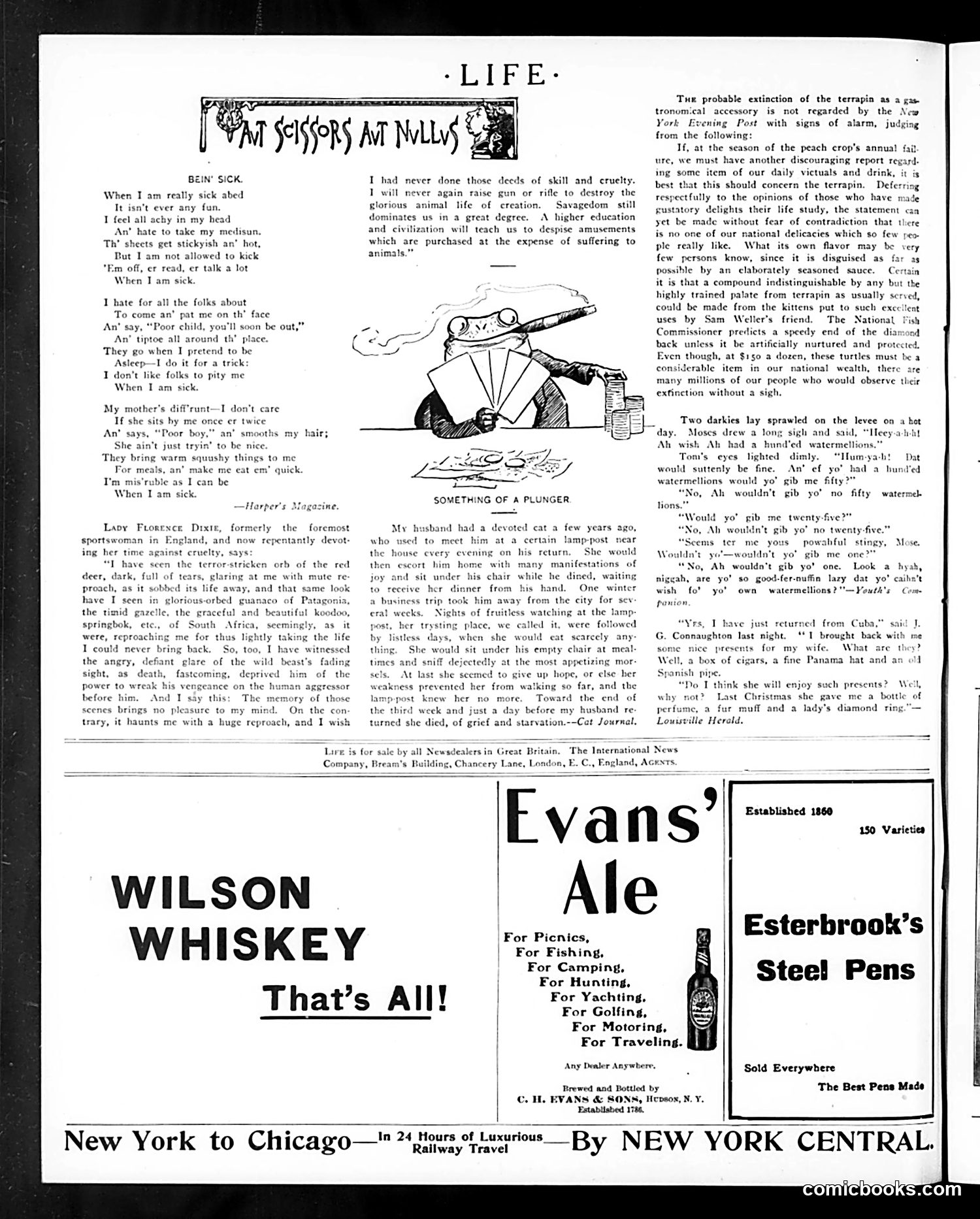 Life — June 16, 1904 — page 16 of 22