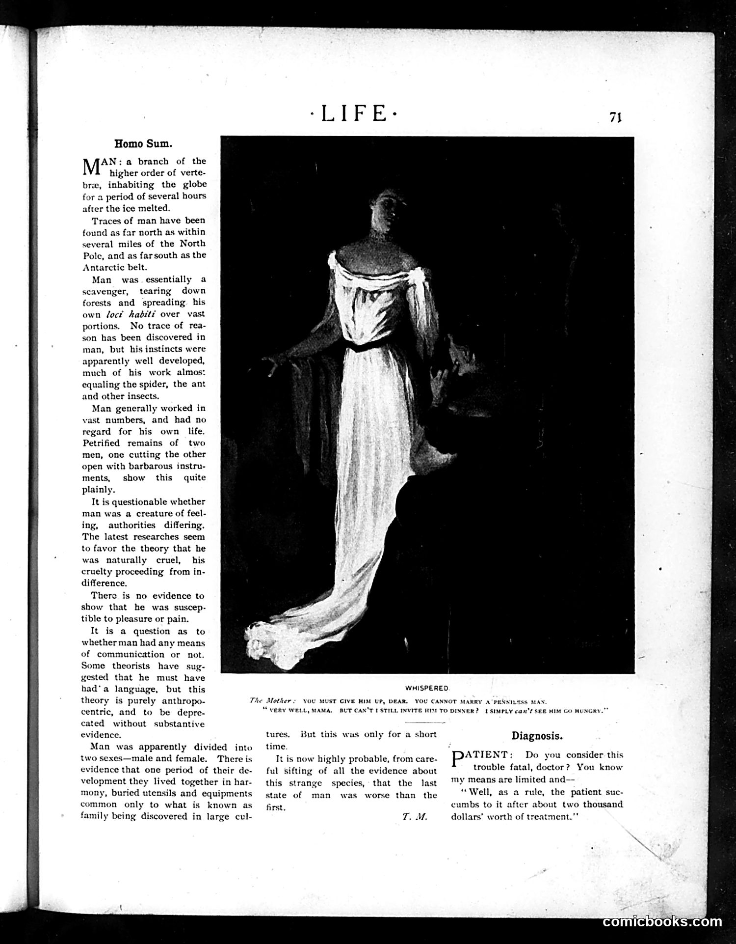 Life — July 14, 1904 — page 37 of 44