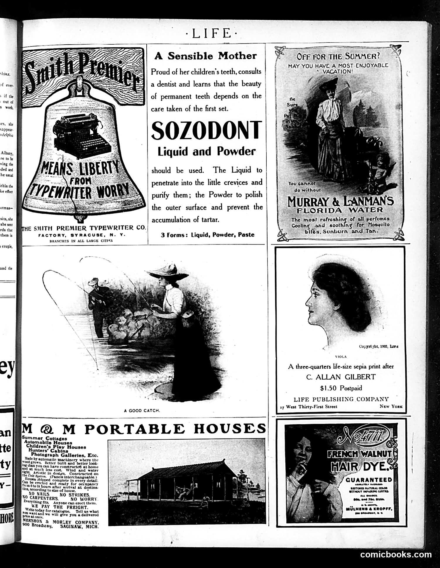 Life — July 14, 1904 — page 39 of 44