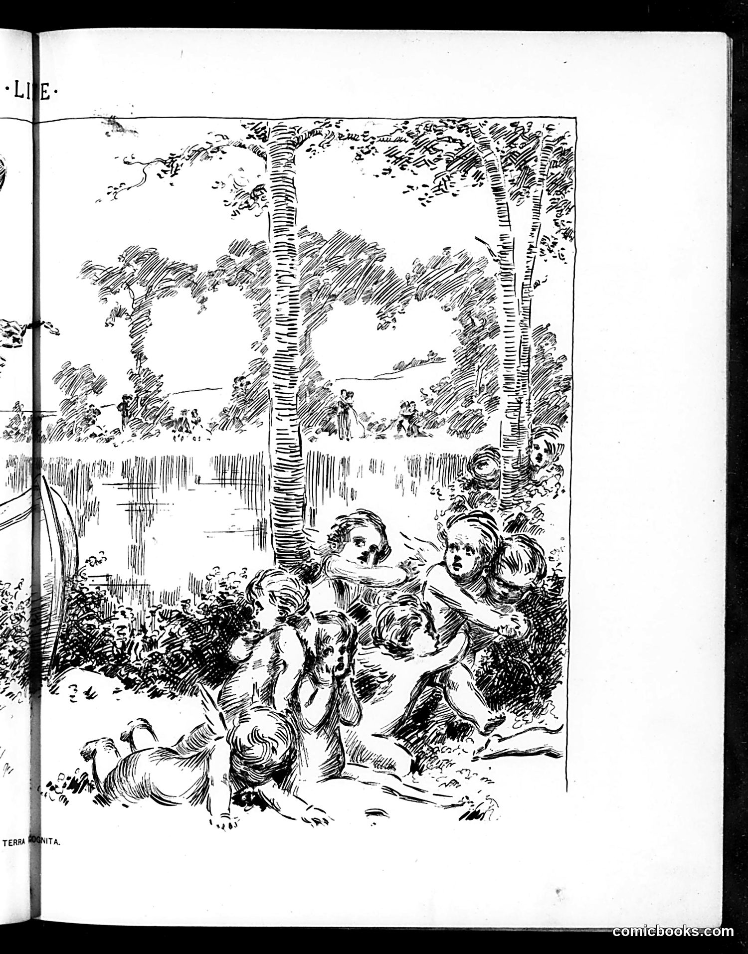 Life — July 28, 1904 — page 11 of 20