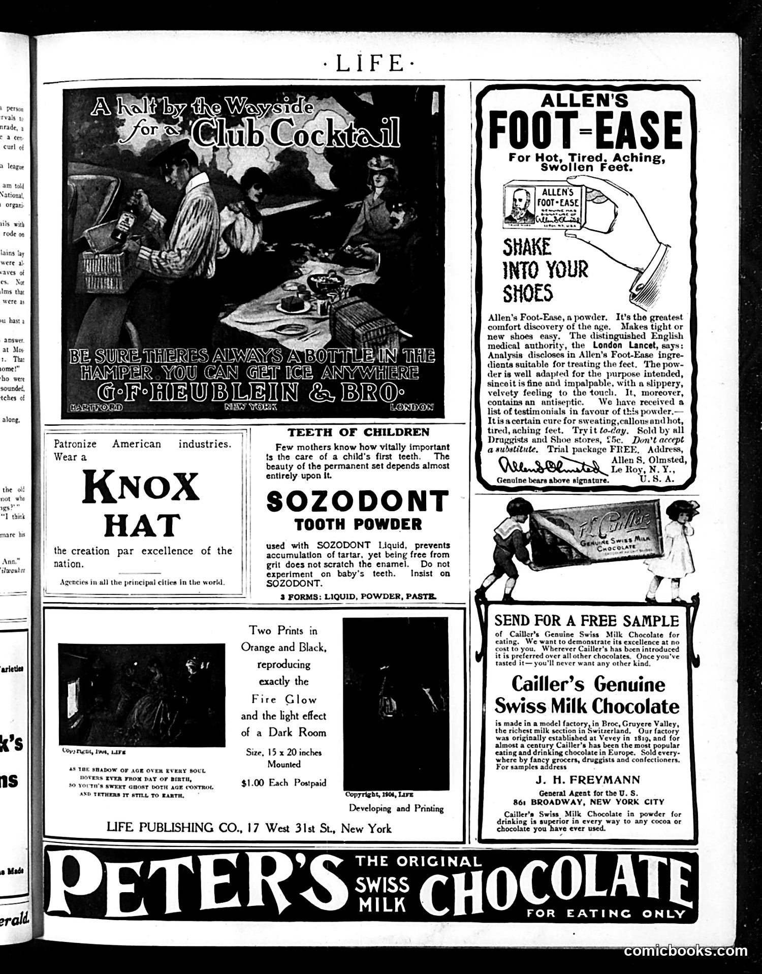 Life — July 28, 1904 — page 17 of 20