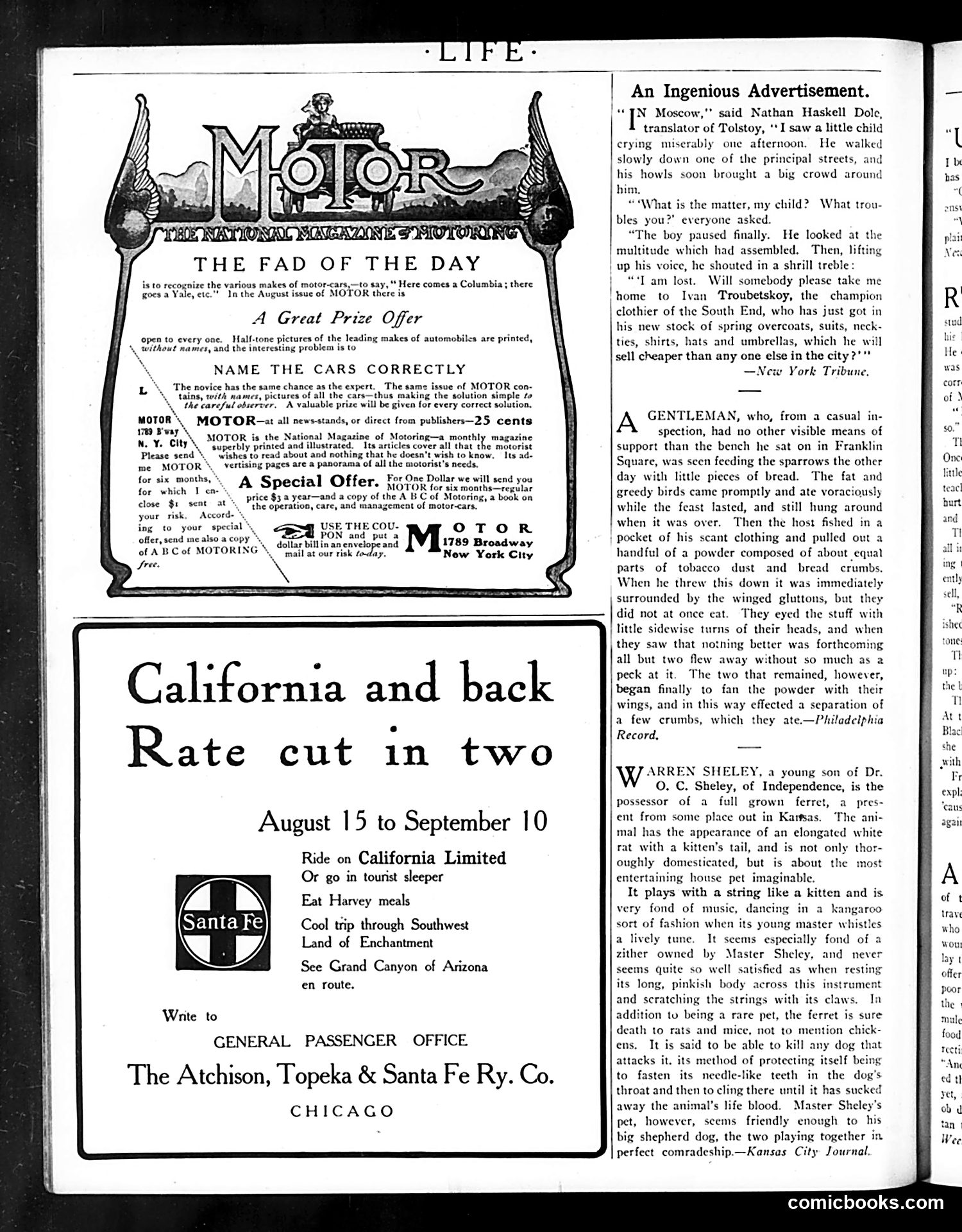 Life — August 4, 1904 — page 4 of 36
