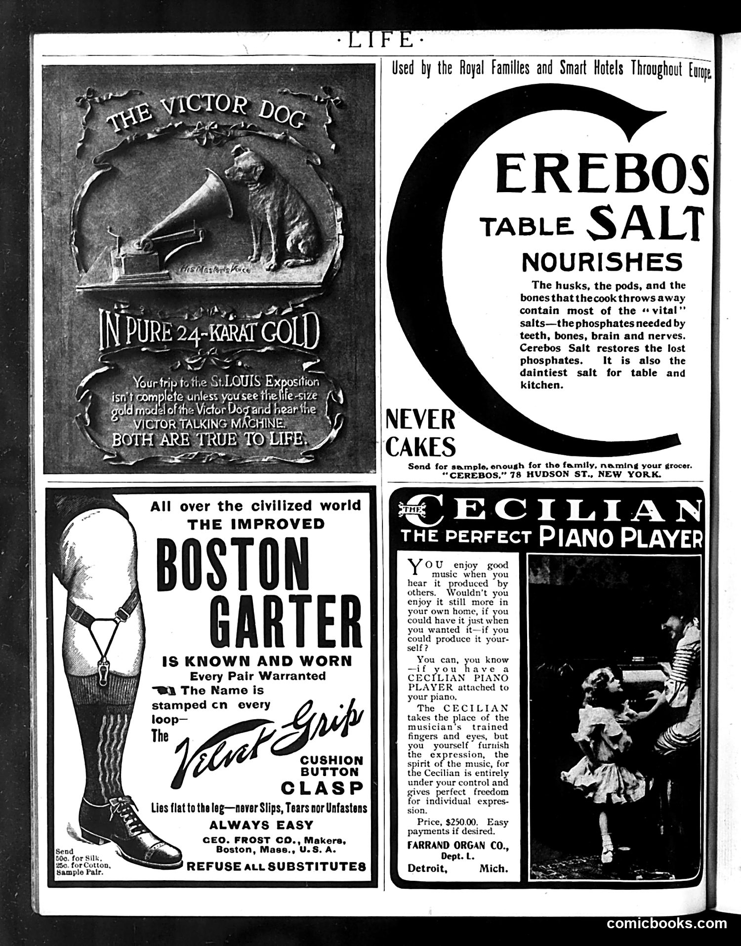 Life — August 4, 1904 — page 6 of 36
