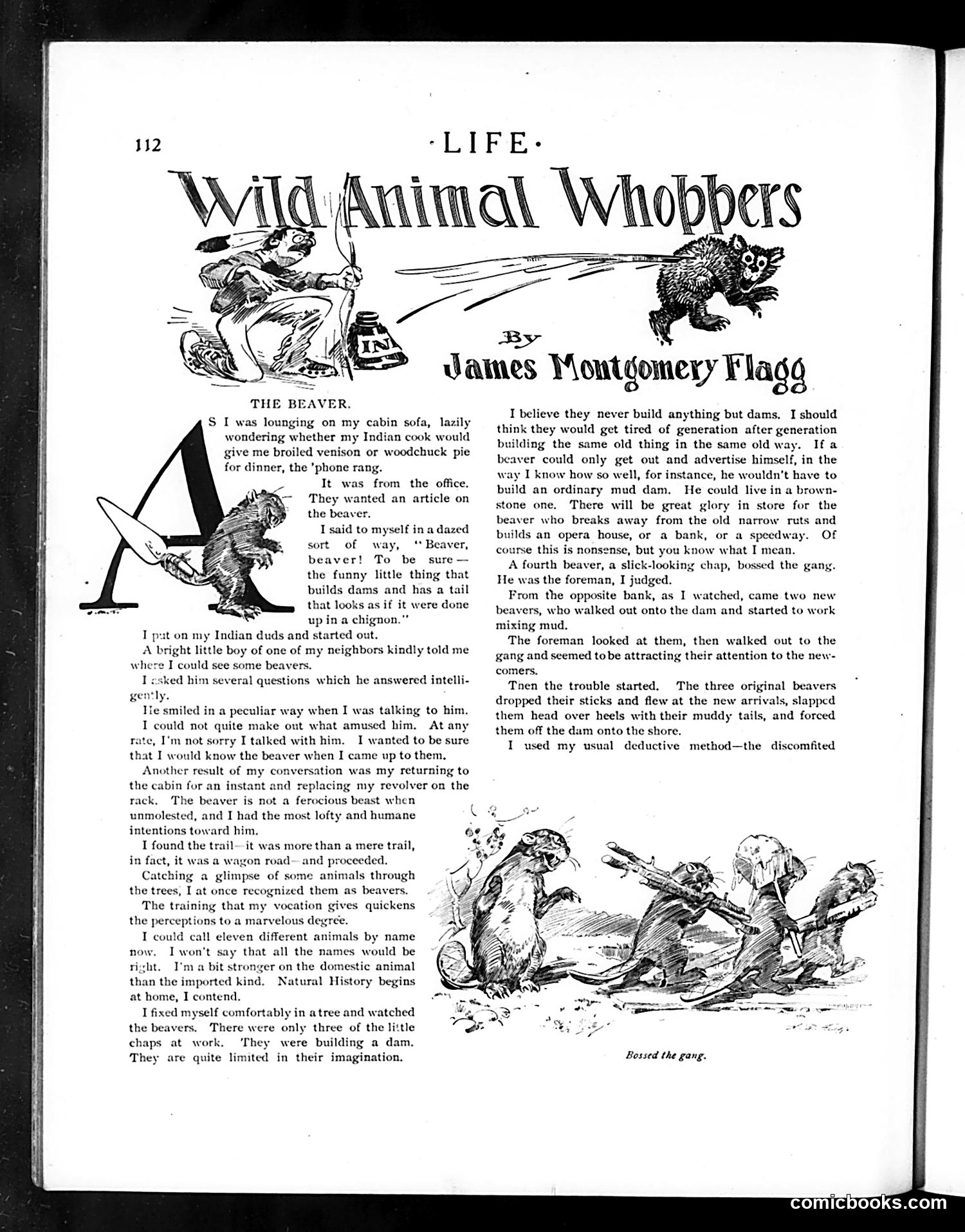 Life — August 4, 1904 — page 12 of 36