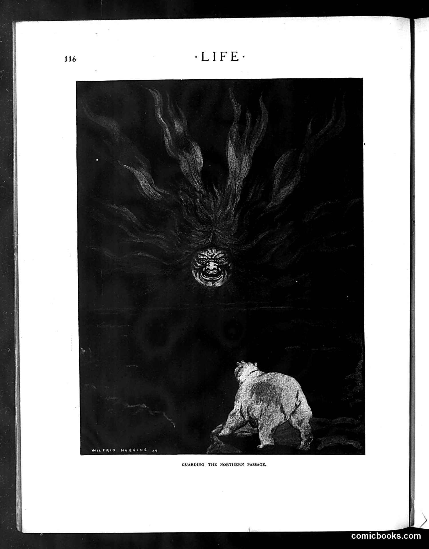 Life — August 4, 1904 — page 16 of 36