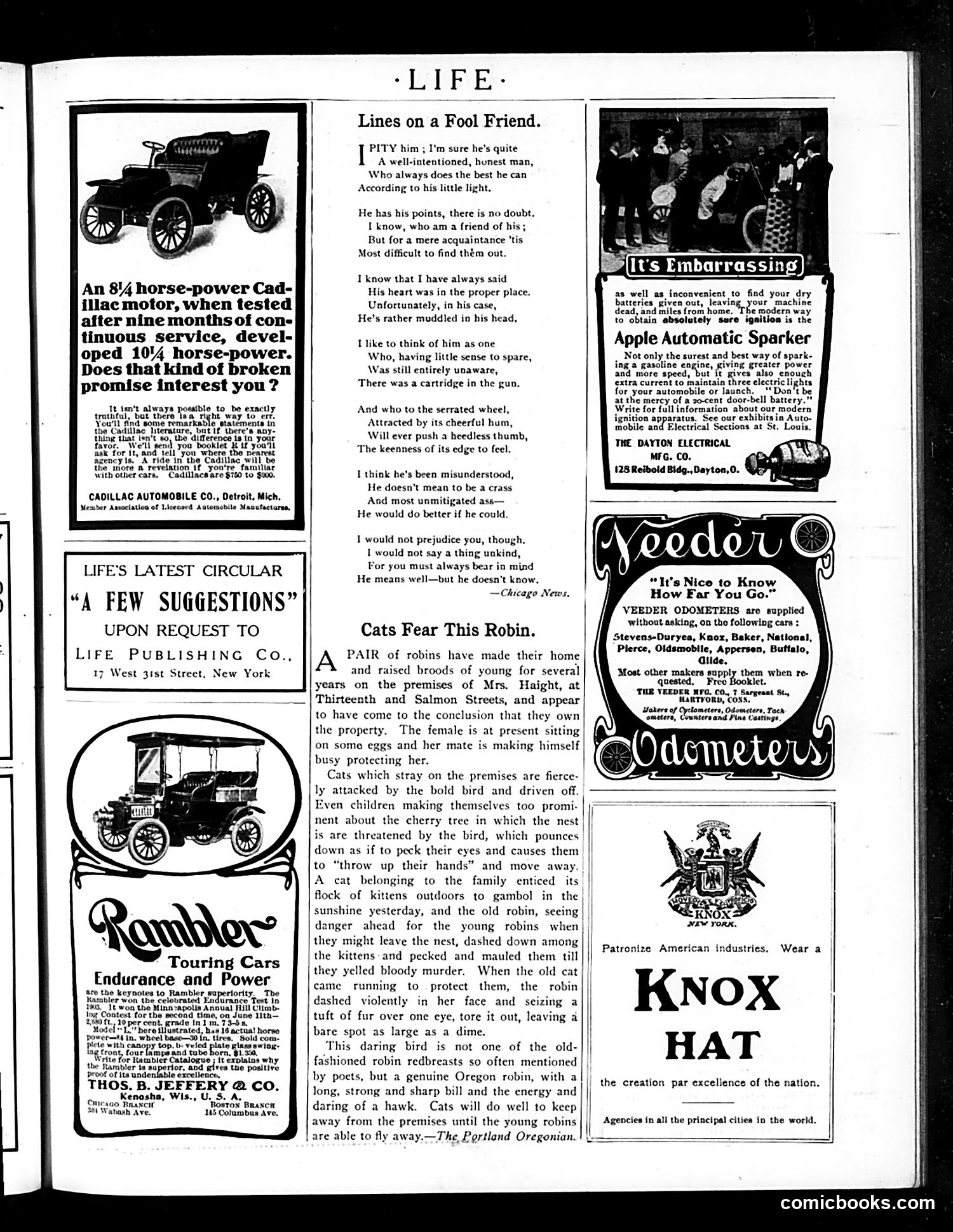 Life — August 4, 1904 — page 31 of 36