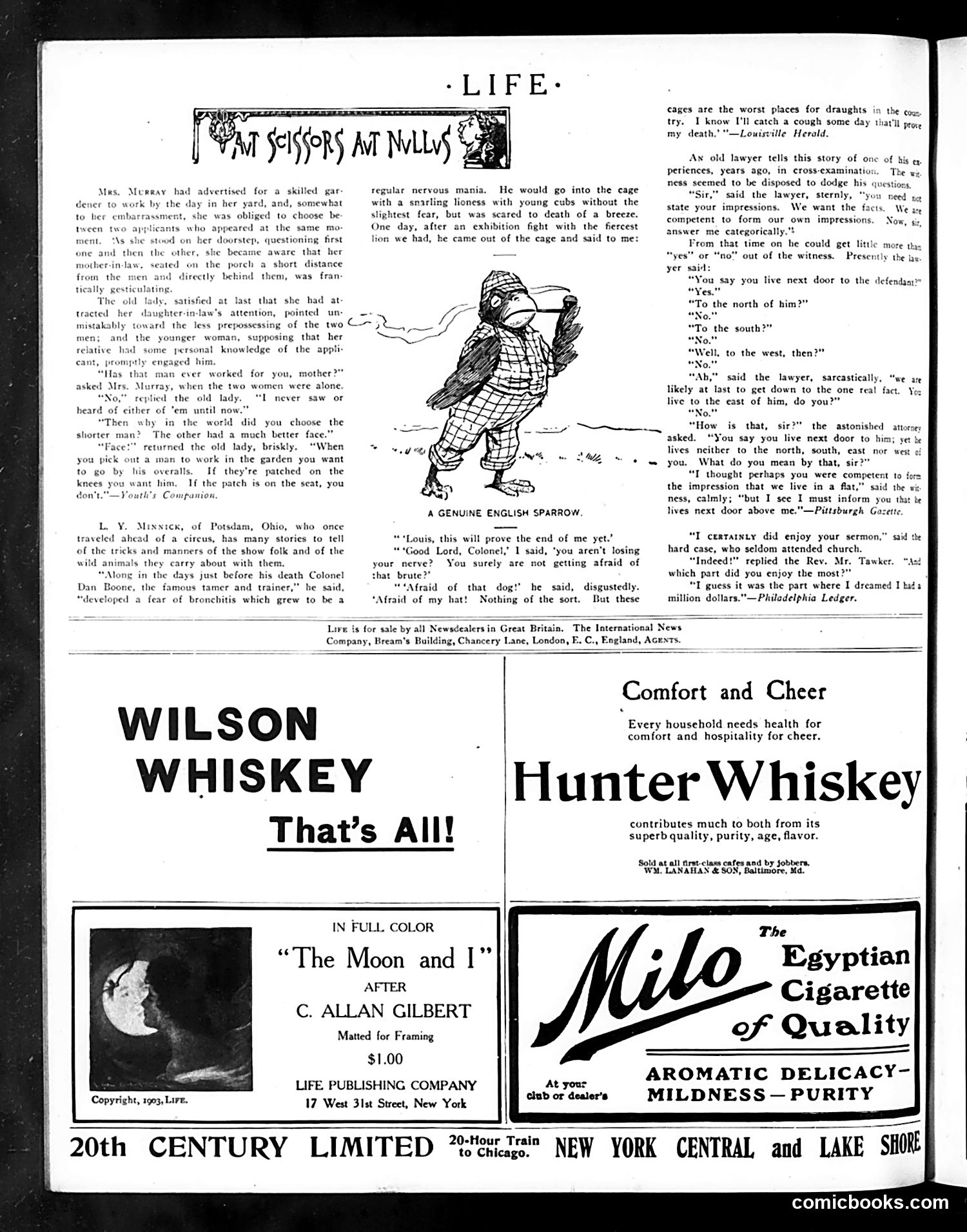 Life — August 18, 1904 — page 16 of 22