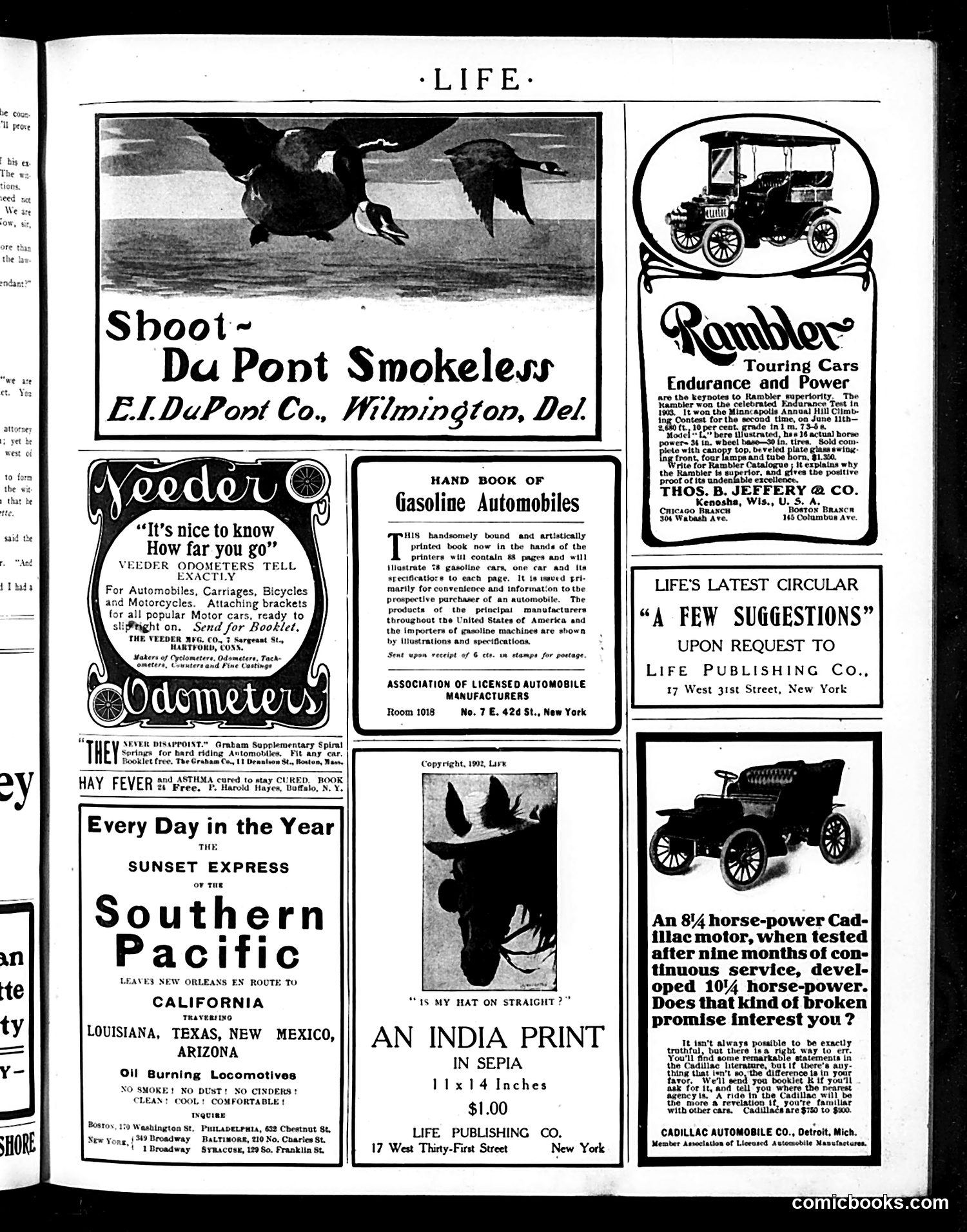 Life — August 18, 1904 — page 17 of 22