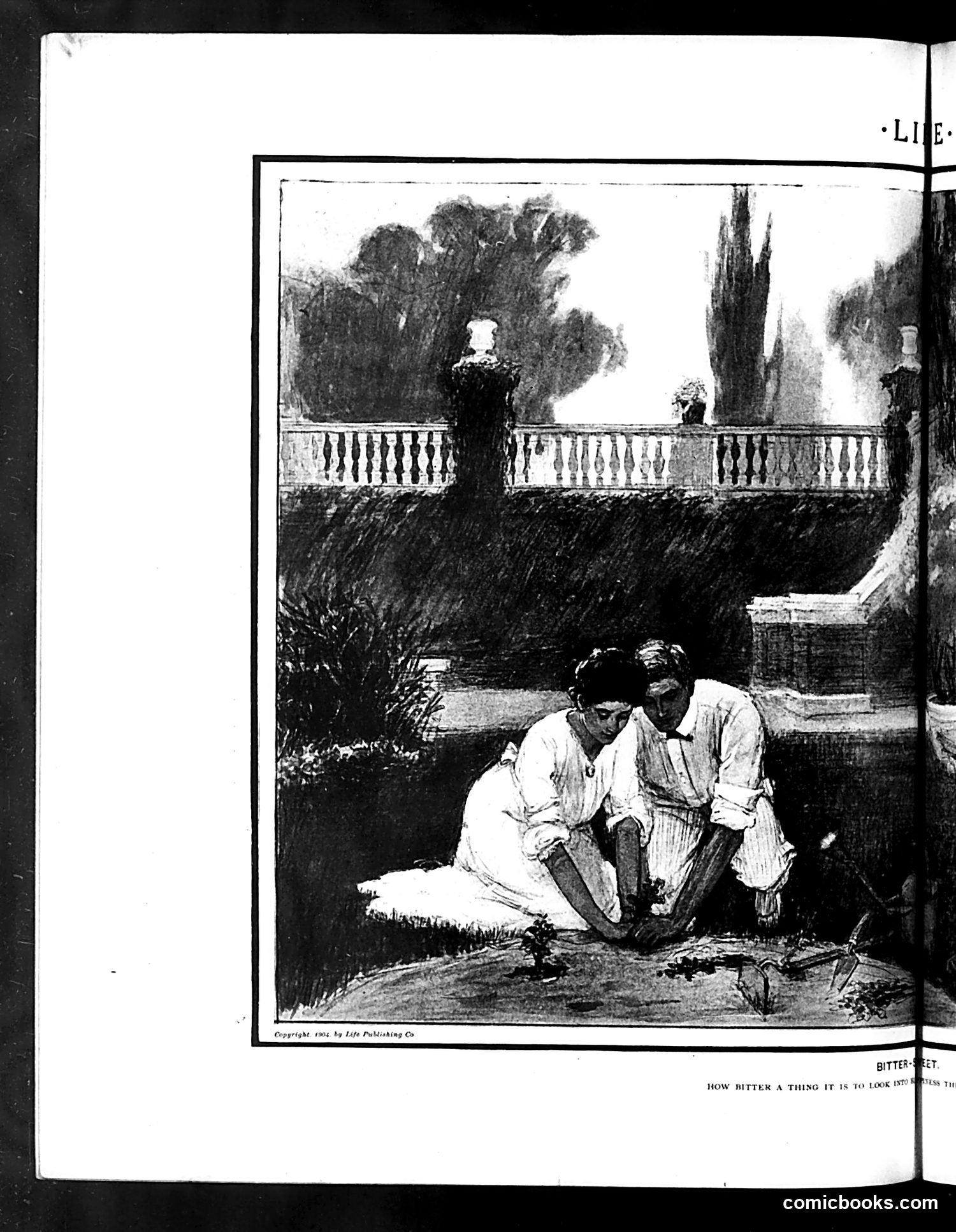 Life — August 25, 1904 — page 10 of 20