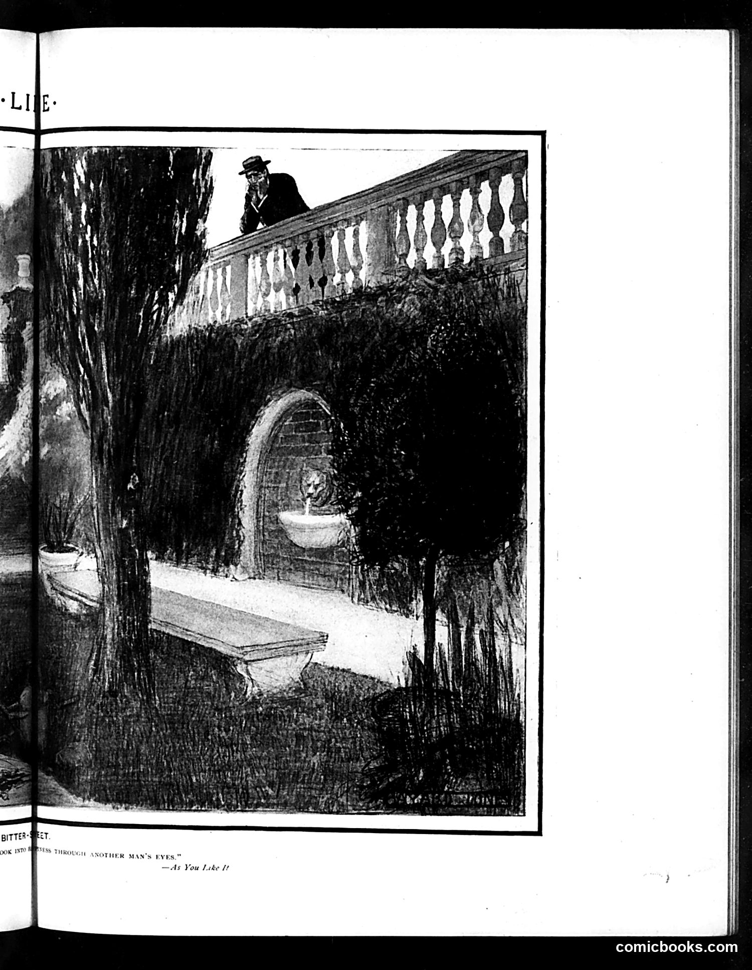 Life — August 25, 1904 — page 11 of 20