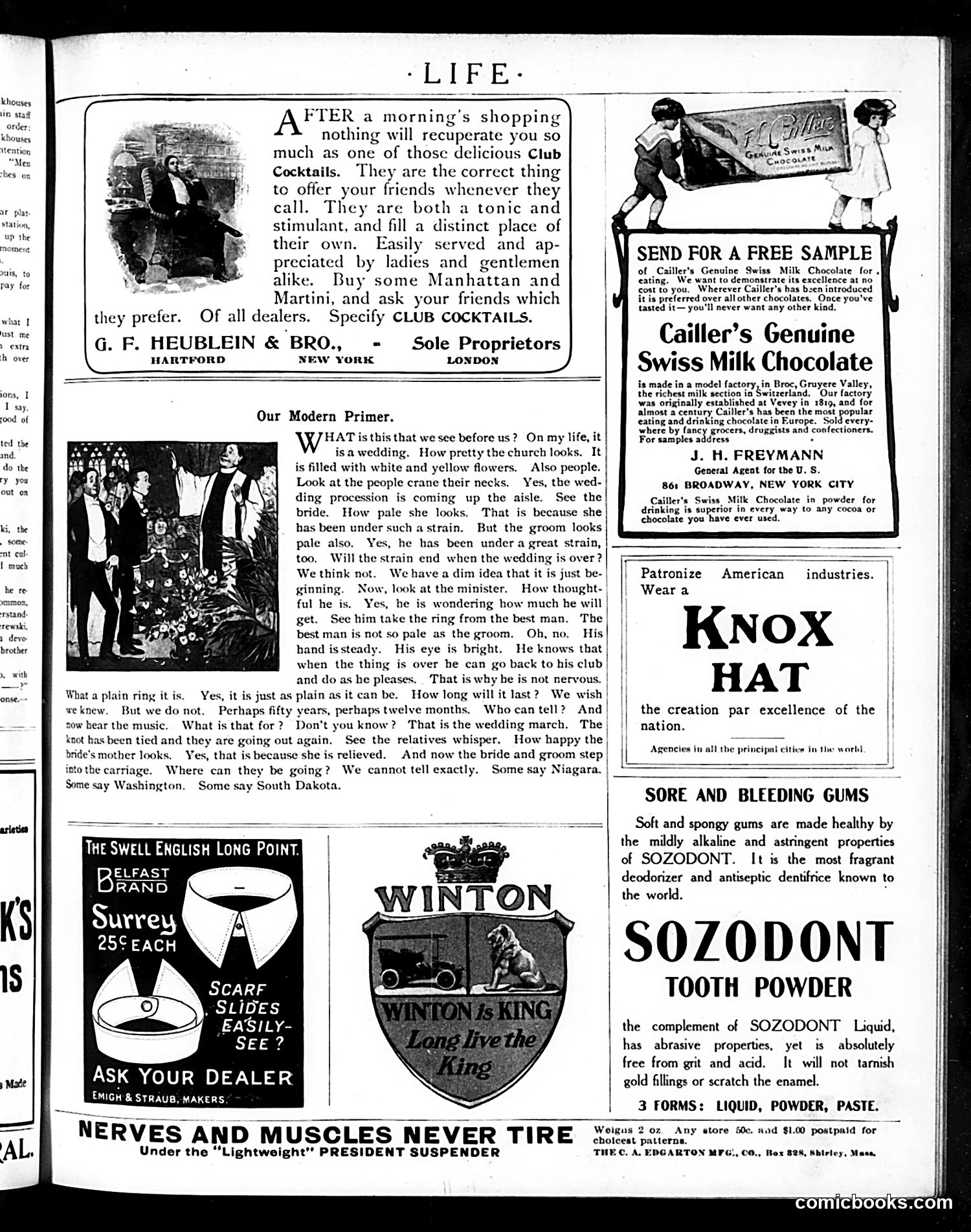 Life — August 25, 1904 — page 17 of 20