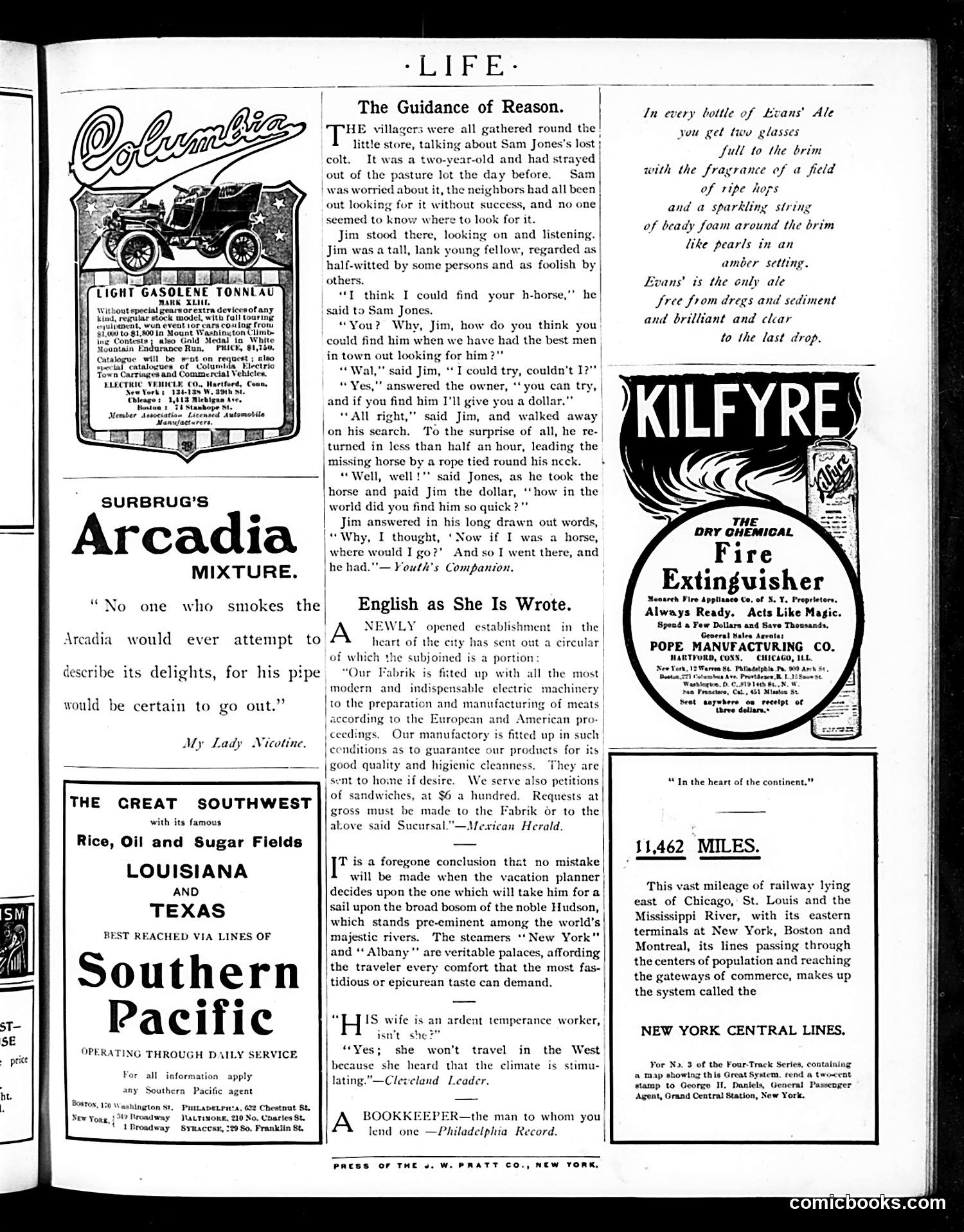 Life — August 25, 1904 — page 19 of 20