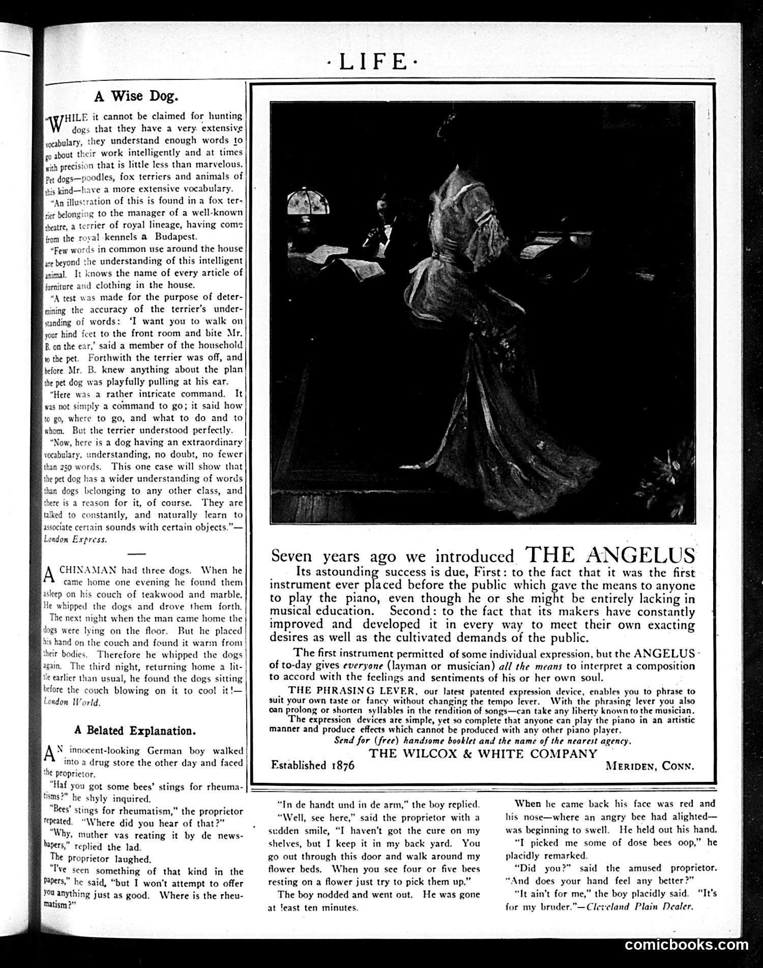 Life — September 1, 1904 — page 7 of 38