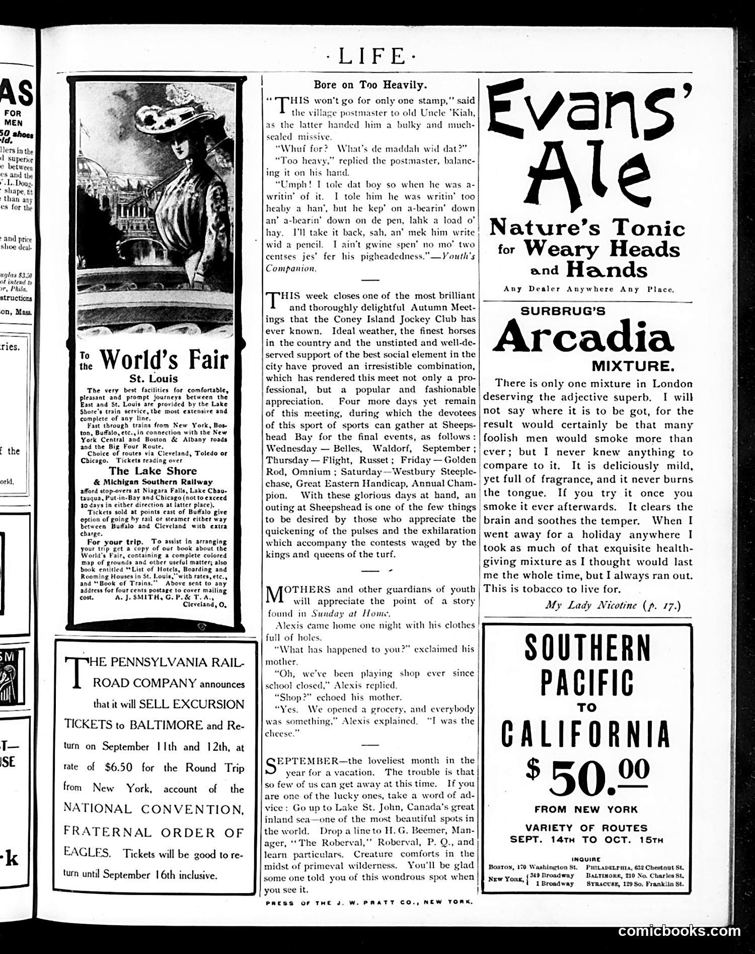 Life — September 8, 1904 — page 19 of 20