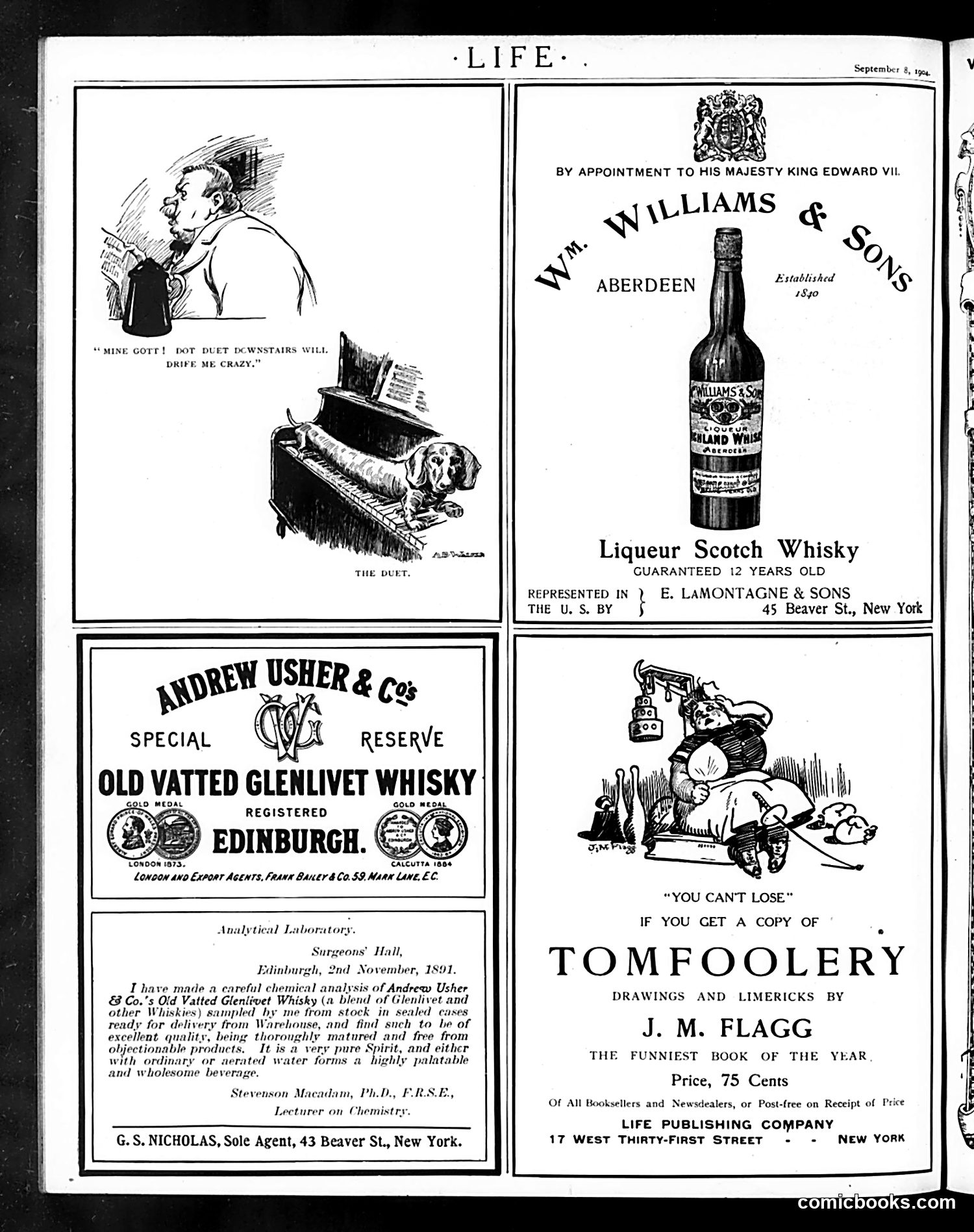 Life — September 8, 1904 — page 20 of 20
