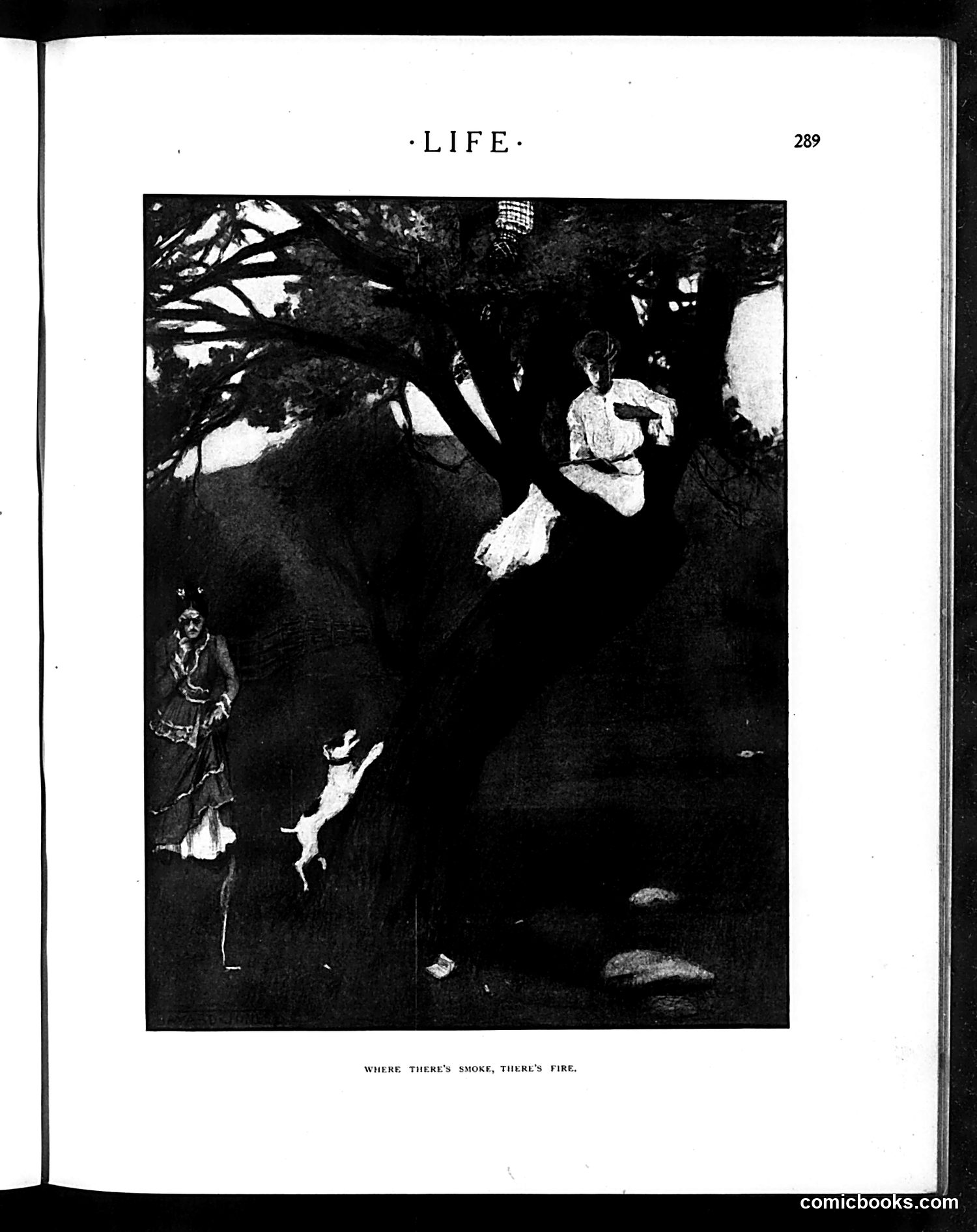 Life — September 22, 1904 — page 15 of 20