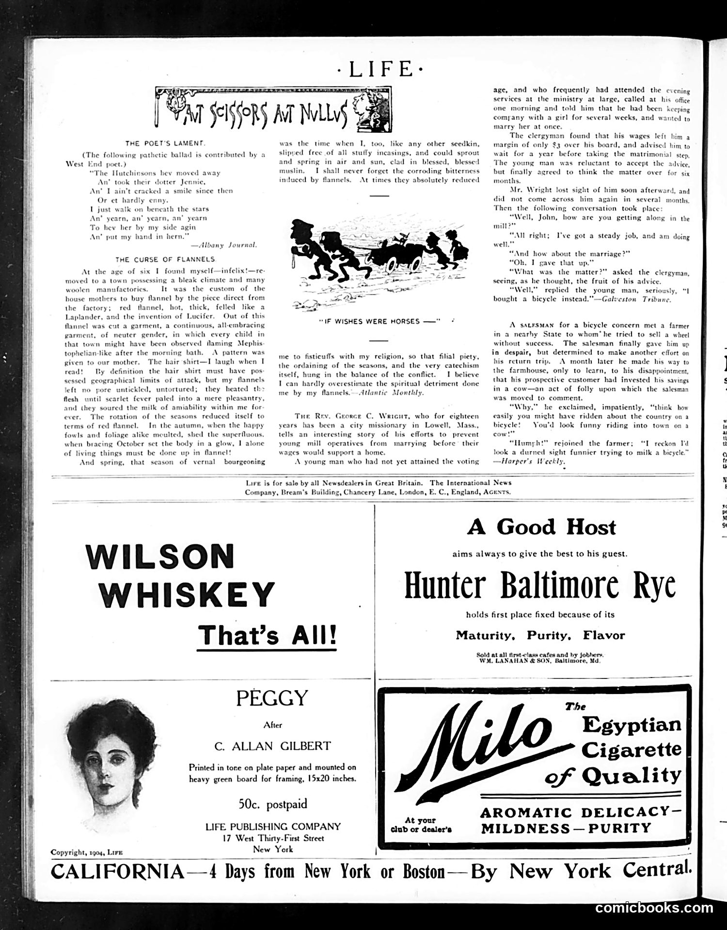 Life — September 29, 1904 — page 16 of 20