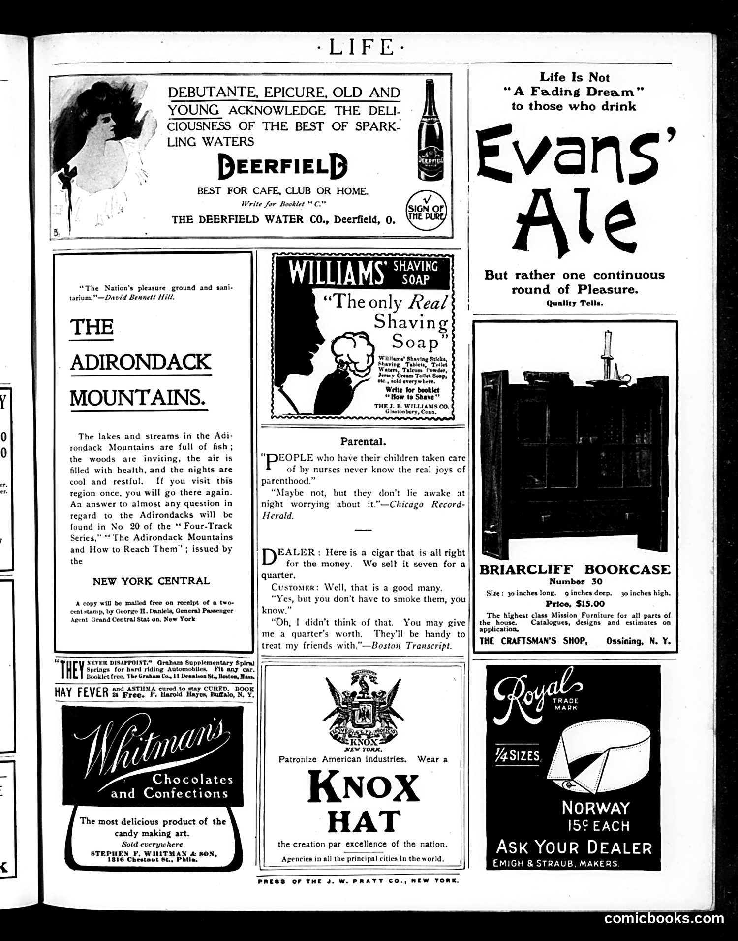 Life — September 29, 1904 — page 19 of 20