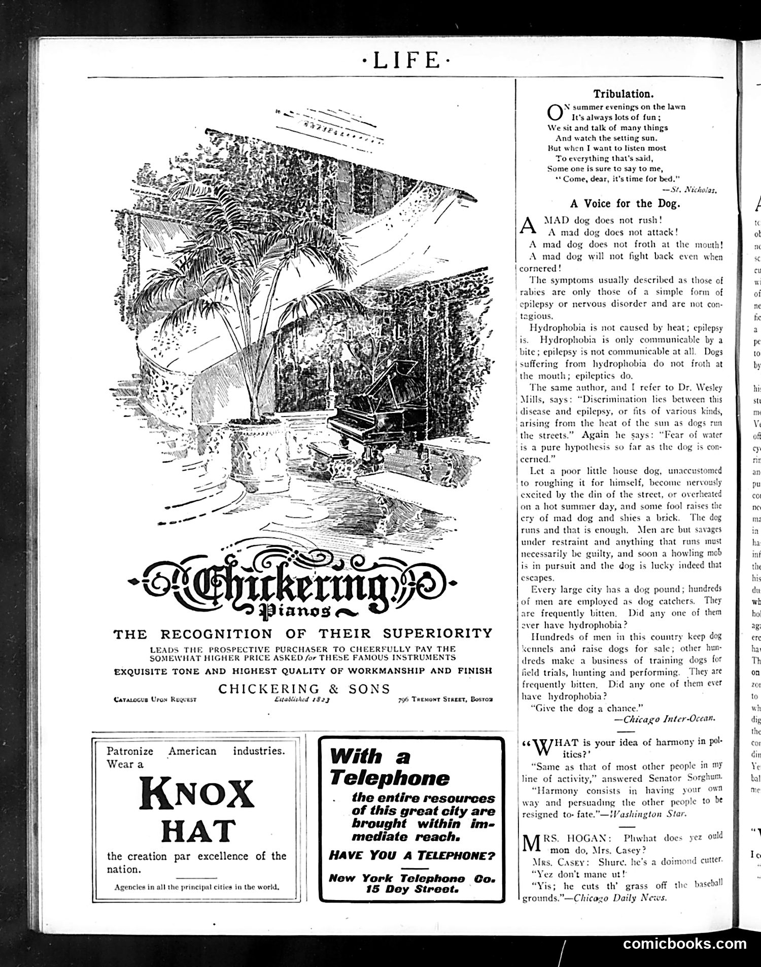 Life — October 6, 1904 — page 6 of 38